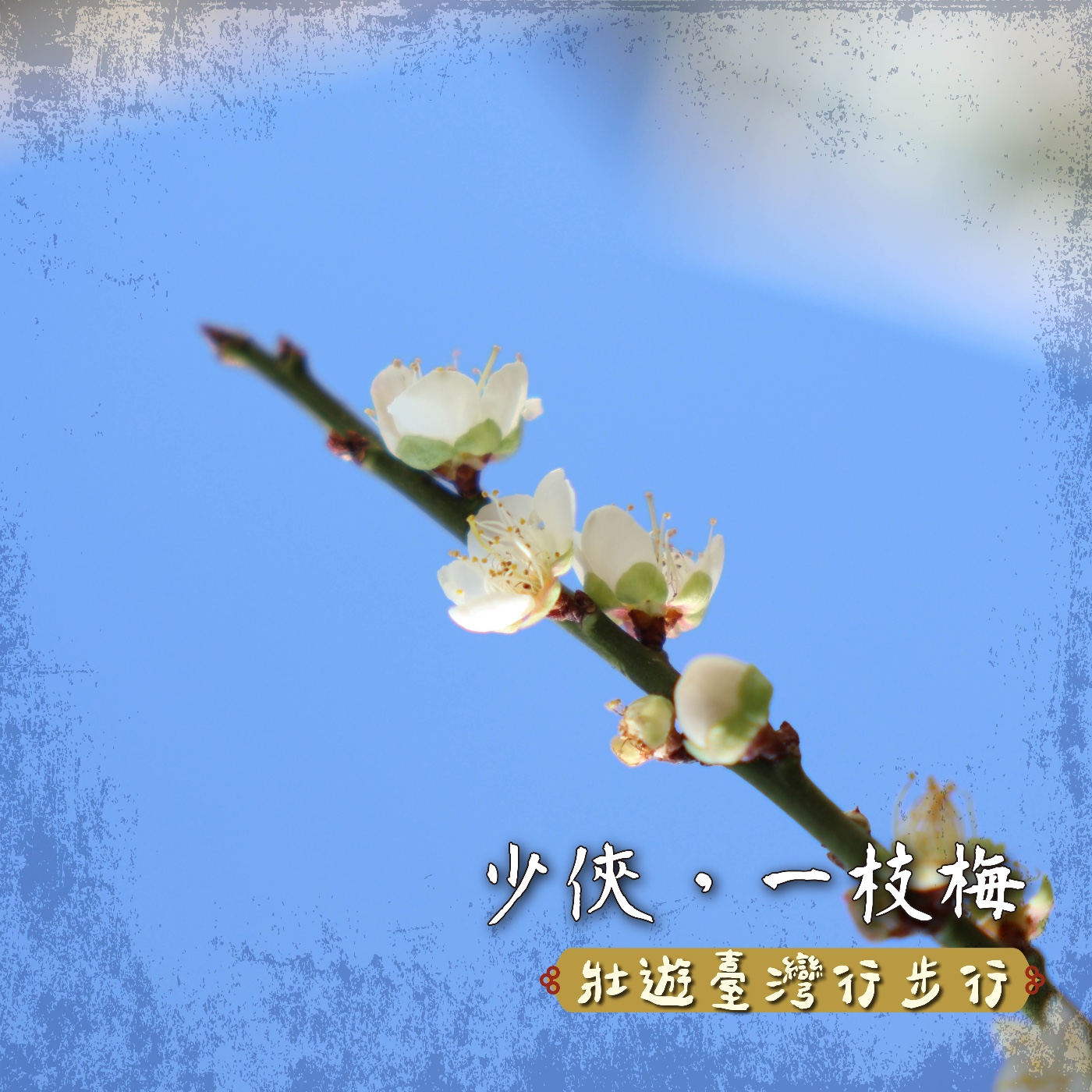 壯遊臺灣，行步行｜EP.28 少俠，一枝梅 episode artwork