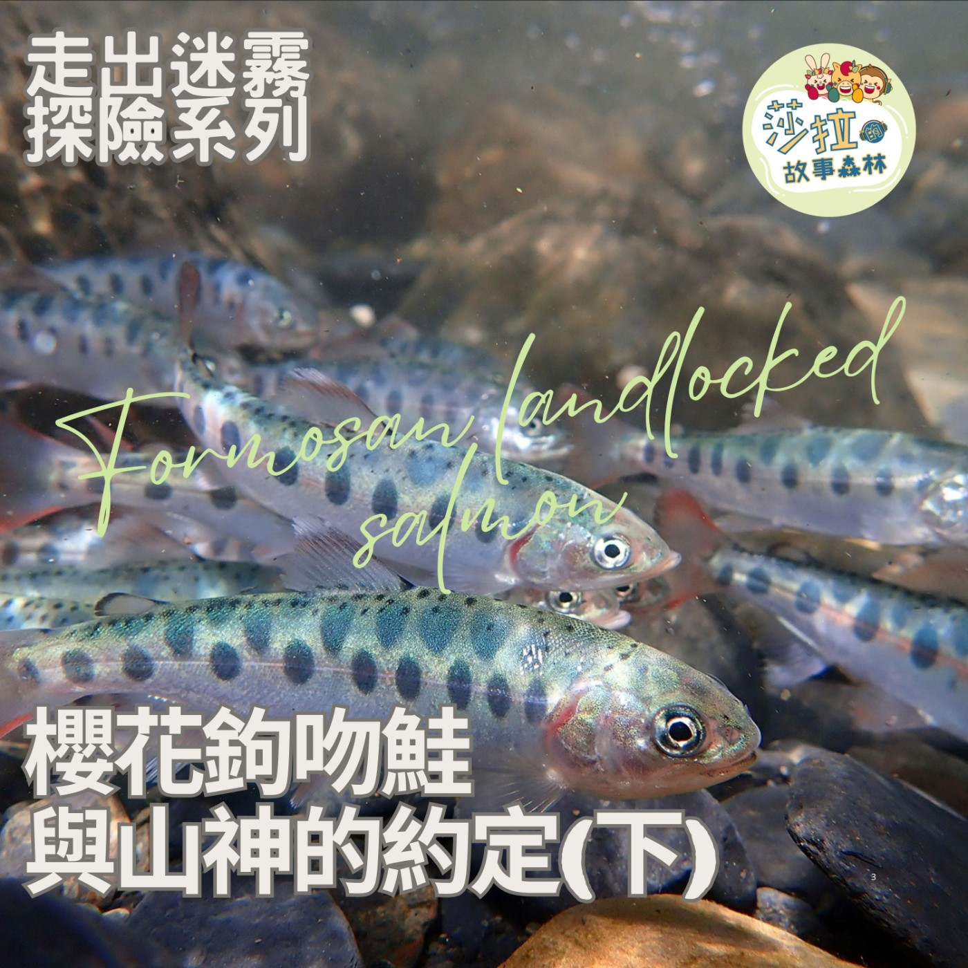 S6 EP27 | 走出迷霧_櫻花鉤吻鮭與山神的約定（下）