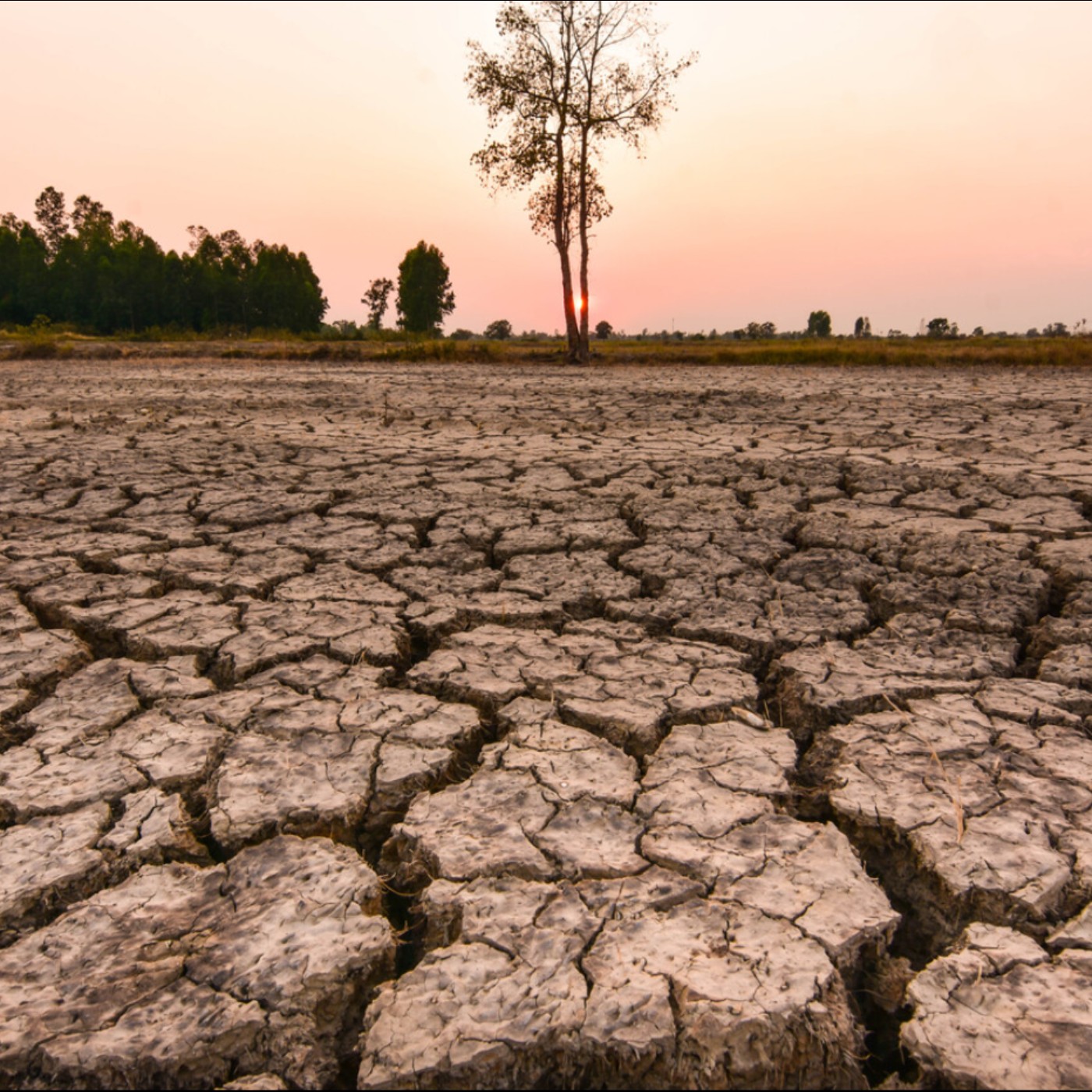 當聖嬰遇上 1.5°C 臨界點：2026 全球氣候奇點的生存倒計時