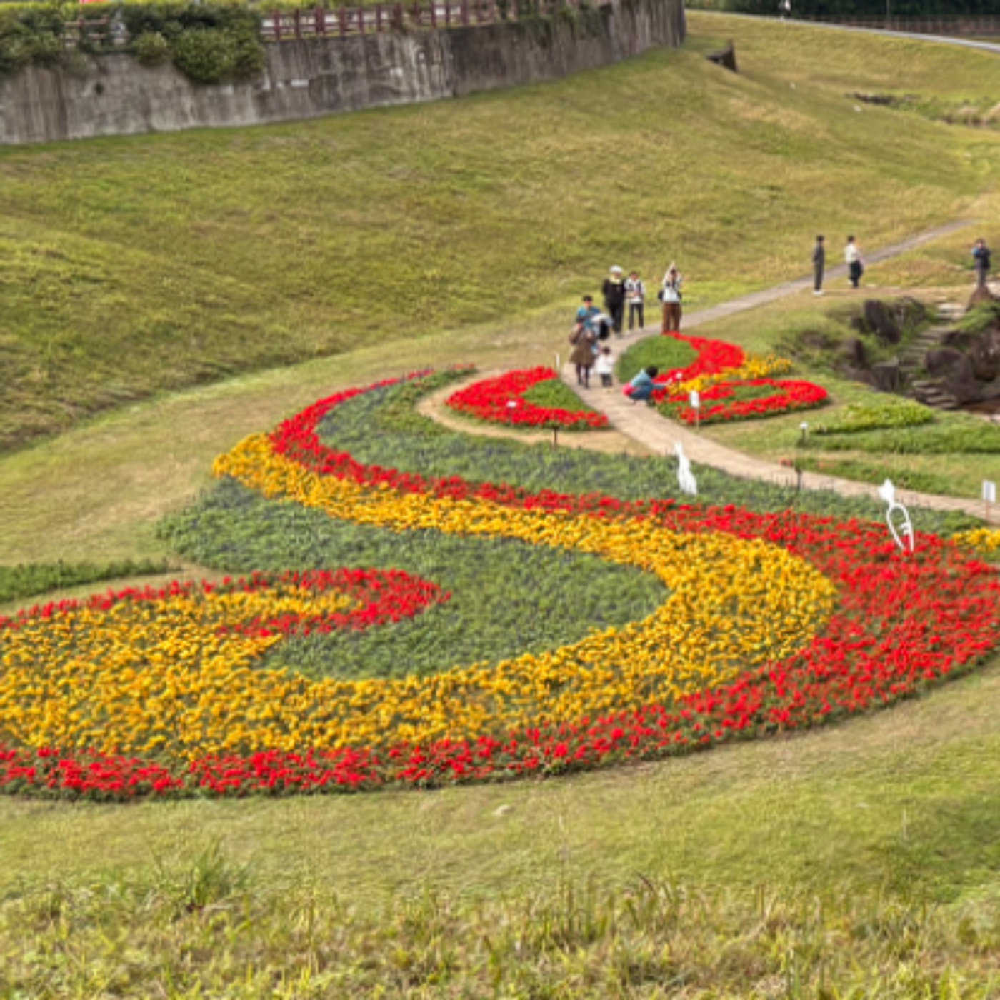 EP70 555