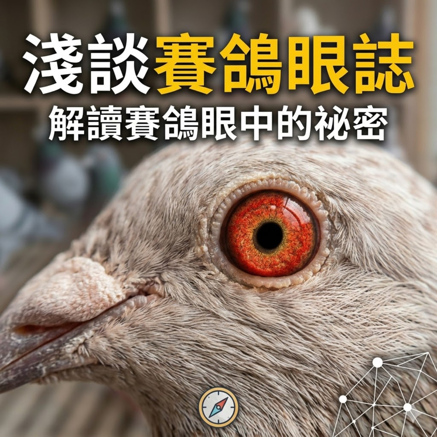 S2-EP012 淺談賽鴿眼誌：解讀賽鴿眼中的秘密 episode artwork