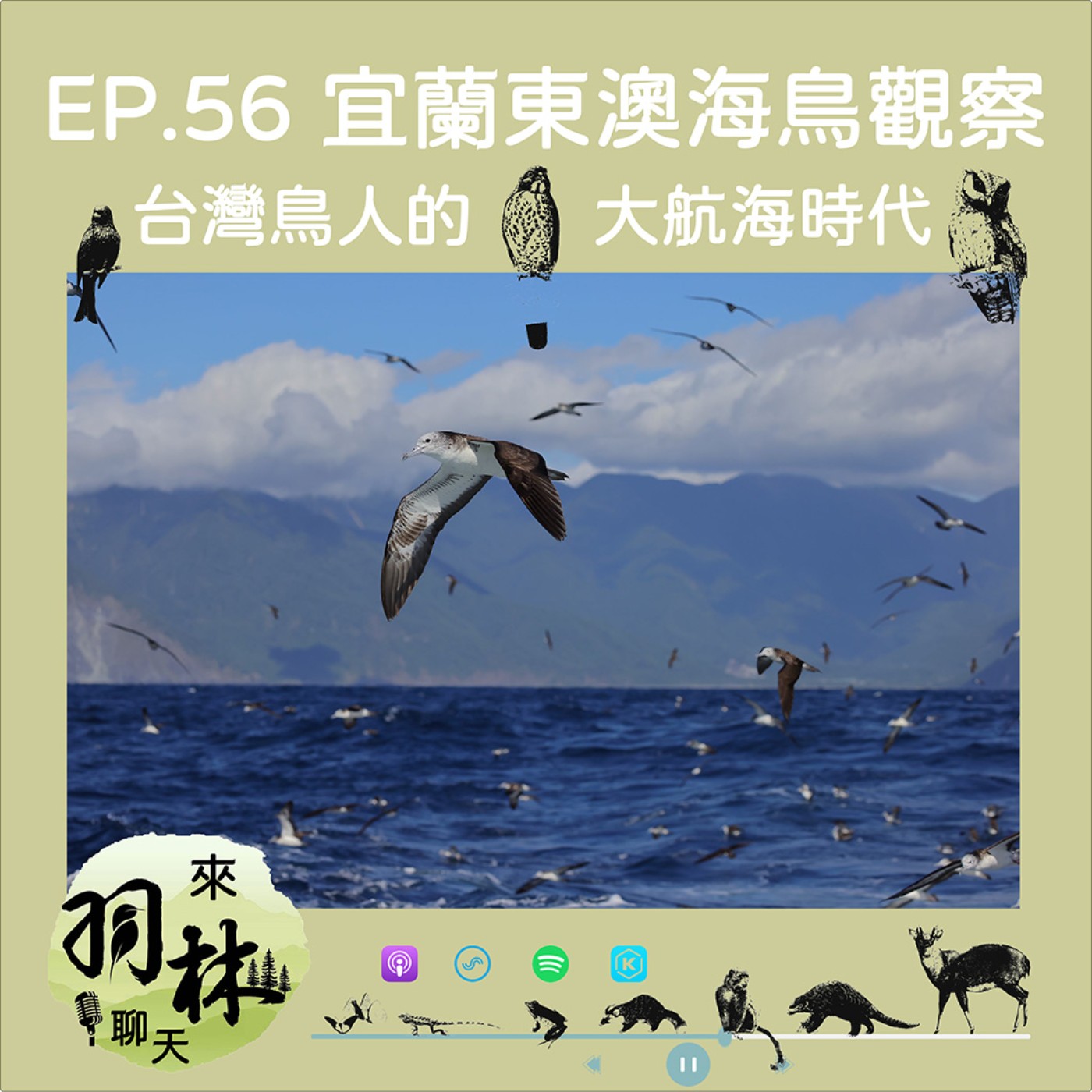 EP56|林哲安╳來羽林聊天:出海九小時只為那三秒鐘?台灣海鳥大航海時代 episode artwork