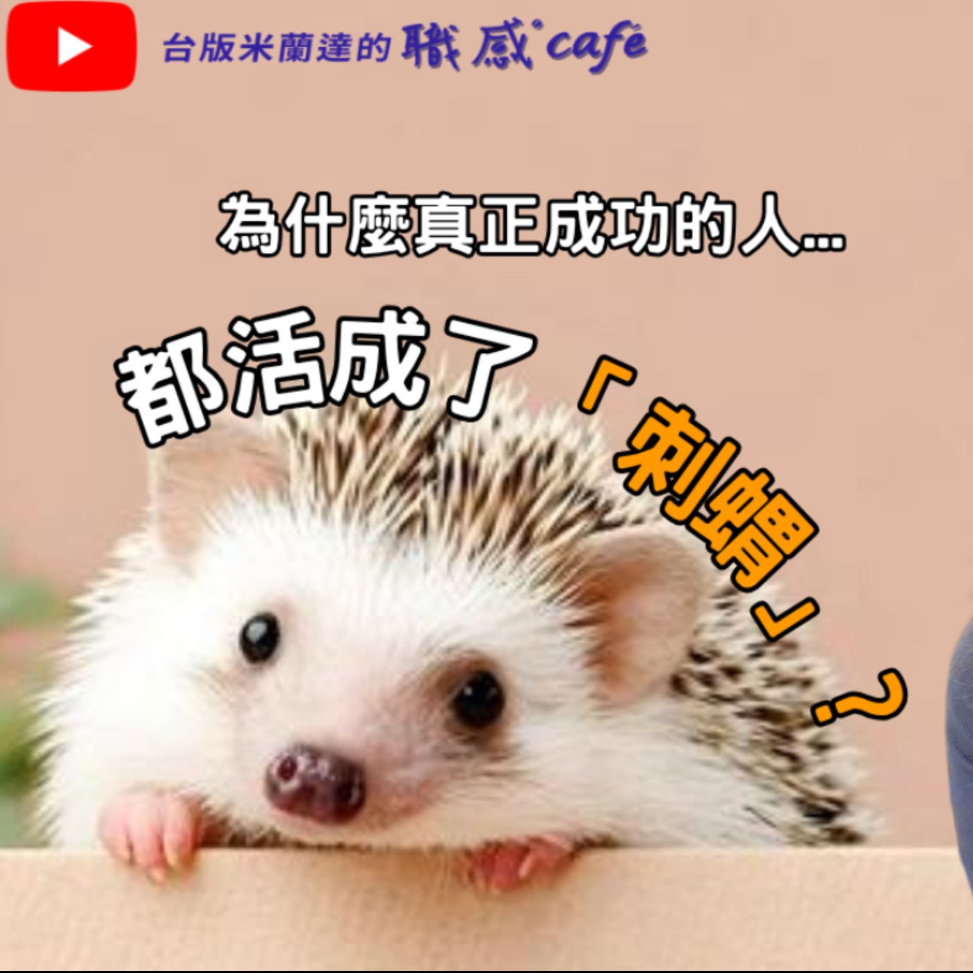 E272【Book Cappuccino：有料又有感的職感閱讀】為什麼真正成功的人，都活成了「刺蝟」？