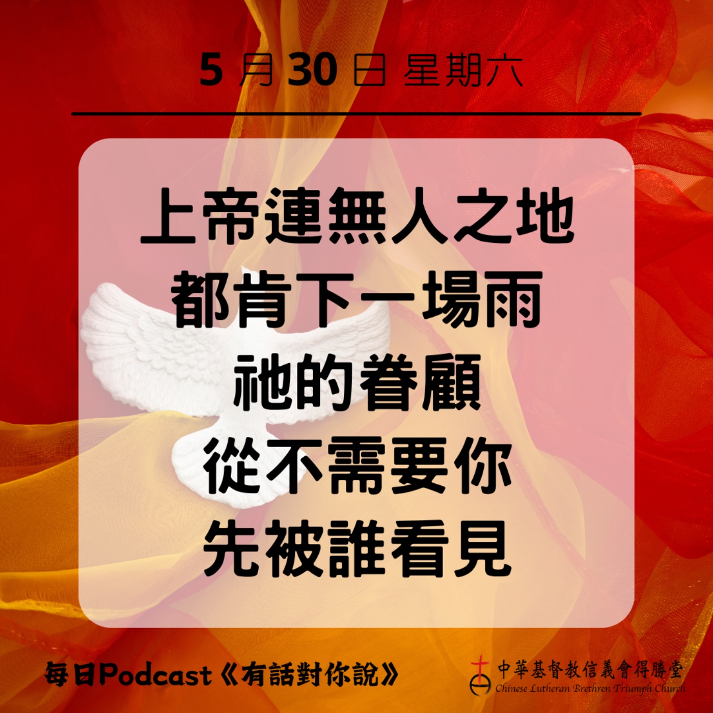 20260530為無人之地下的那場雨 episode artwork