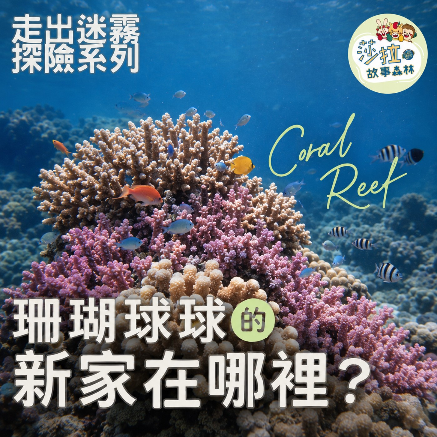  S6 EP31| 走出迷霧 🪸 珊瑚球球的新家在哪裡？
