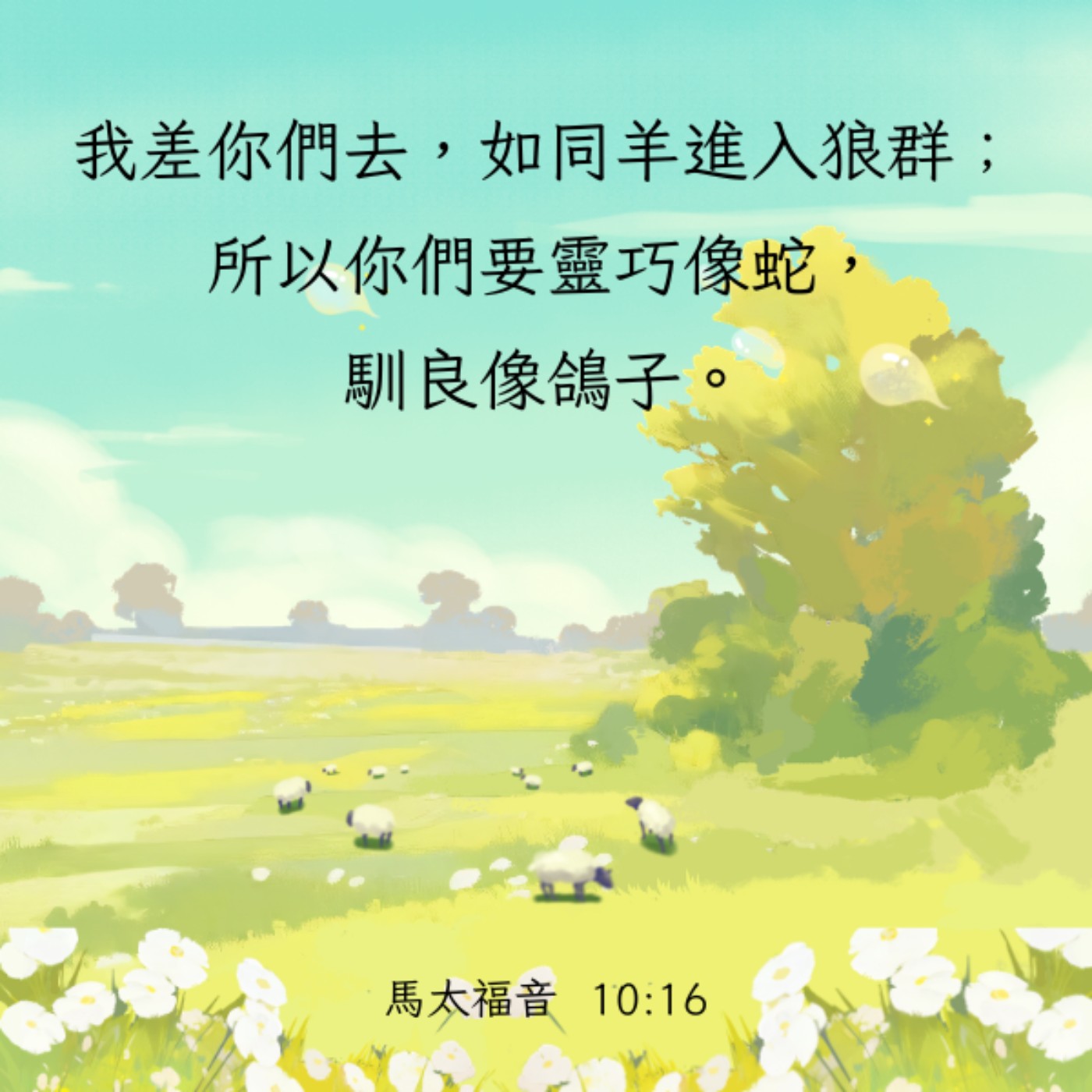 馬 太 福 音 10:16-25 episode artwork