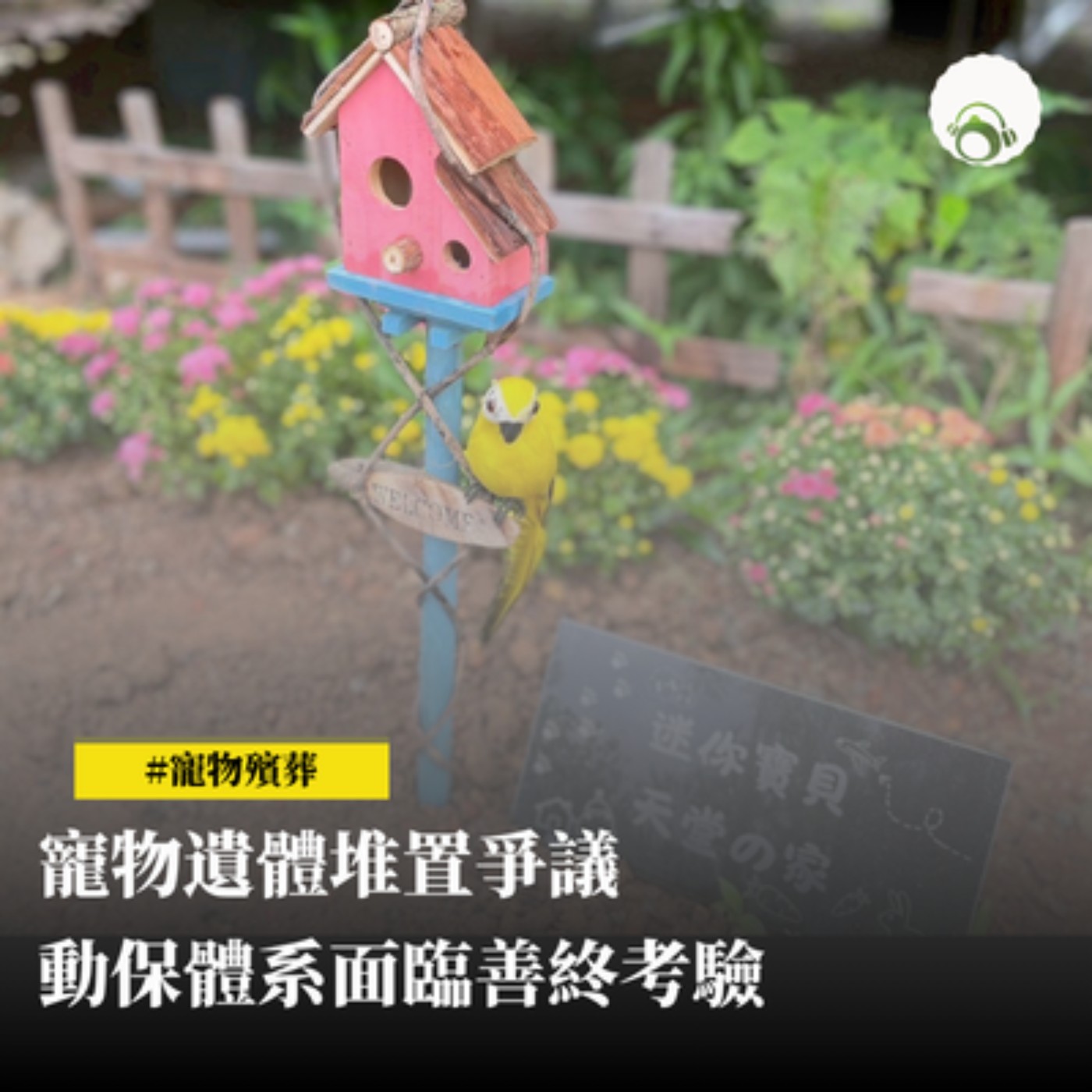 【新聞專題】寵物遺體堆置爭議　動保體系面臨善終考驗 episode artwork