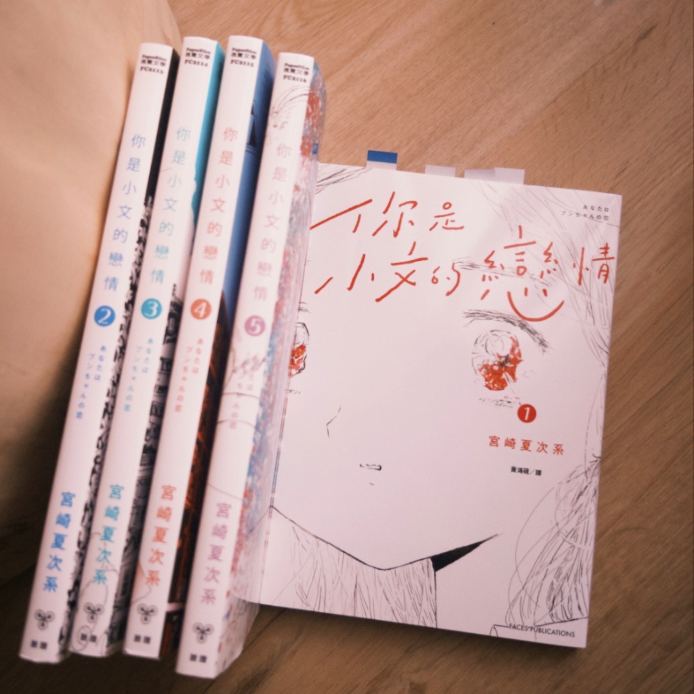 #095｜好喜歡、好喜歡你這件事情，怎麼會變成一種病呢？──《你是小文的戀情》