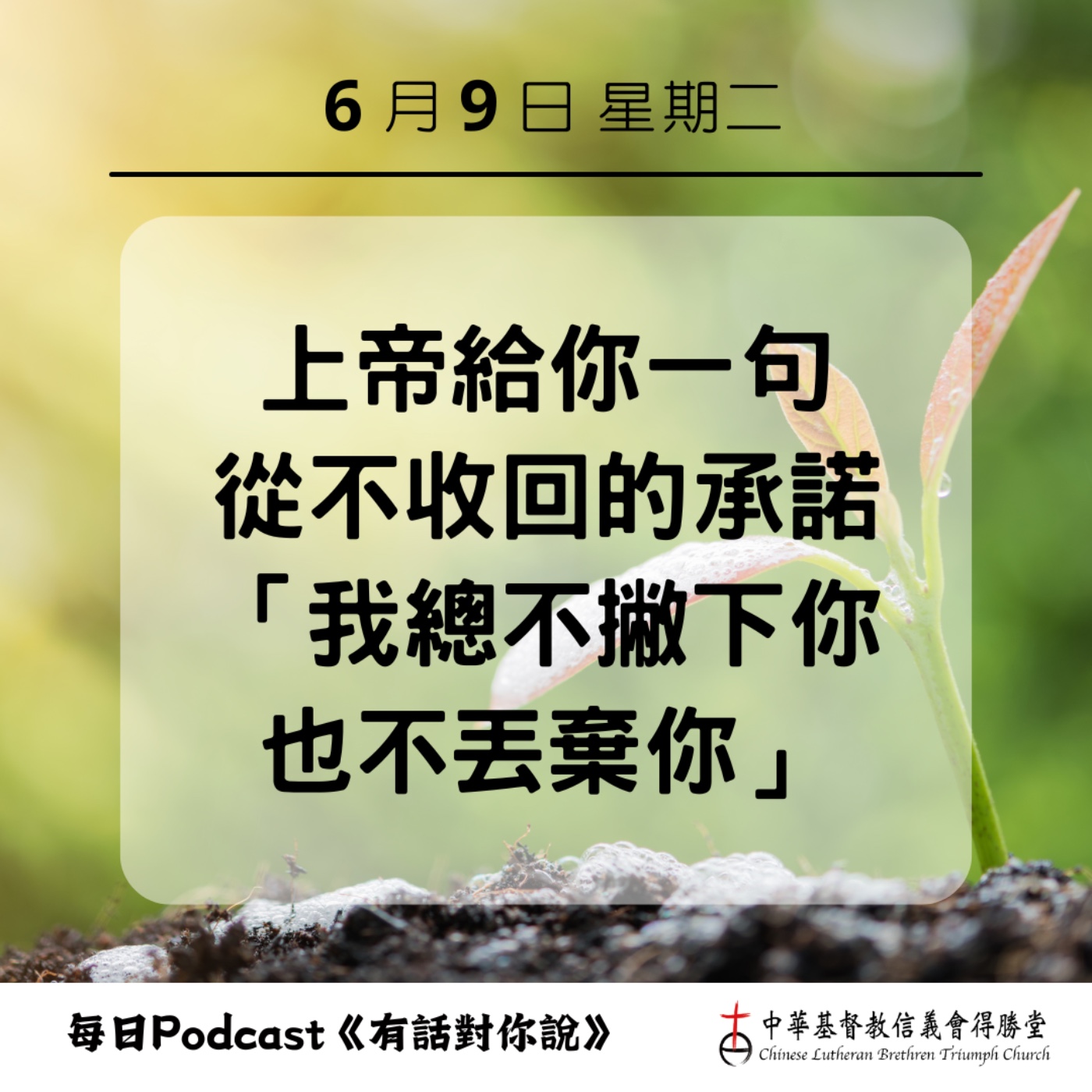 20260609上帝必不撇下我們 episode artwork