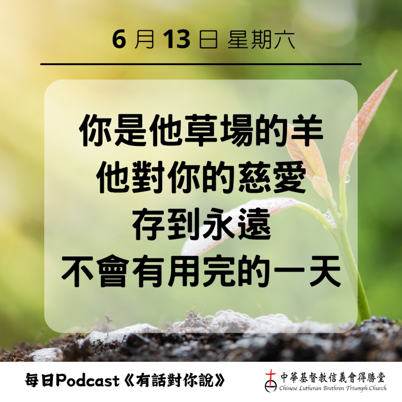 20260613永遠不會見底的愛 episode artwork