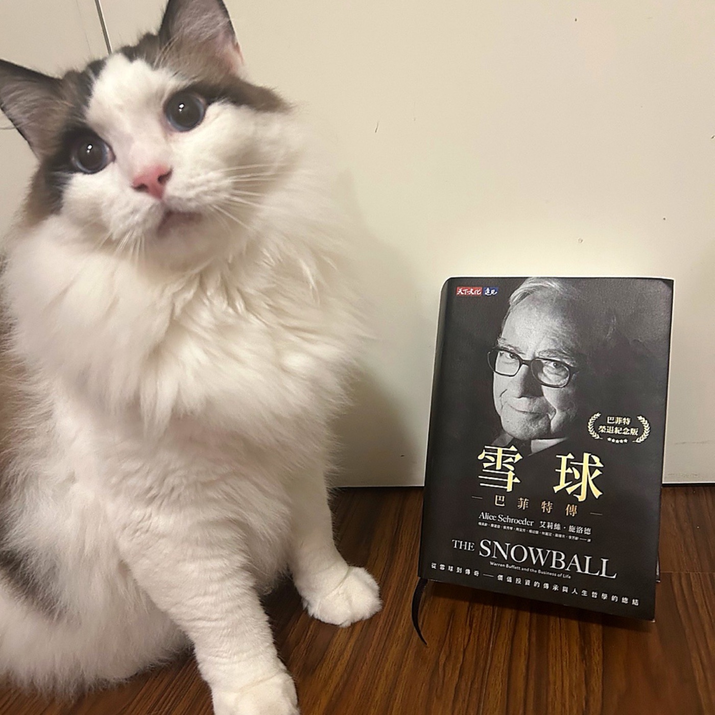 ep80. 巴菲特與他的雪球（二）：為什麼有些人總能看見別人看不見的機會？