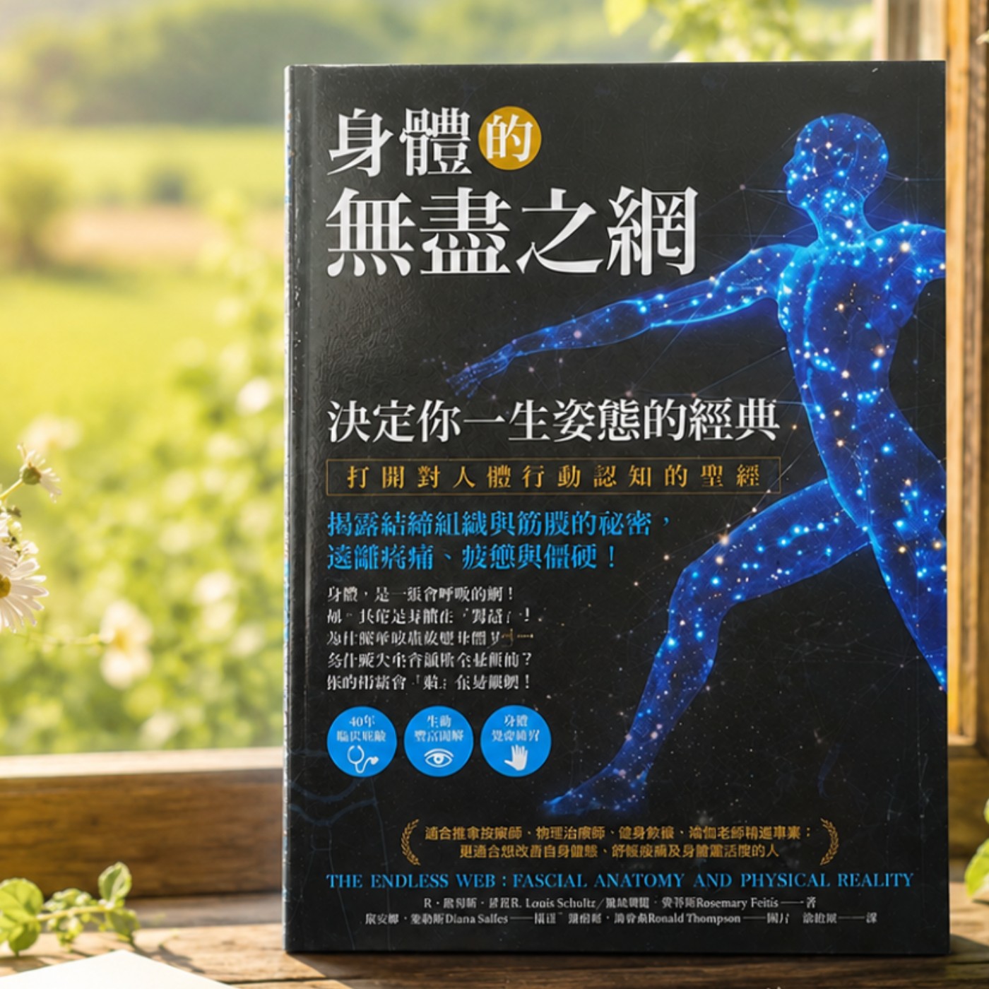 《身體的無盡之網》（上）決定你一生姿態的經典 episode artwork
