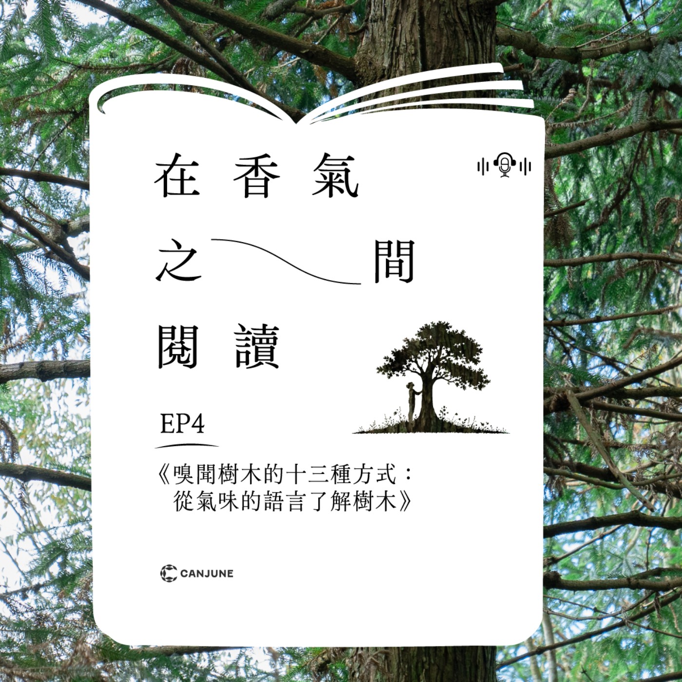 「在香氣之間閱讀」EP4：《嗅聞樹木的十三種方式》—— 從氣味解讀森林的語言