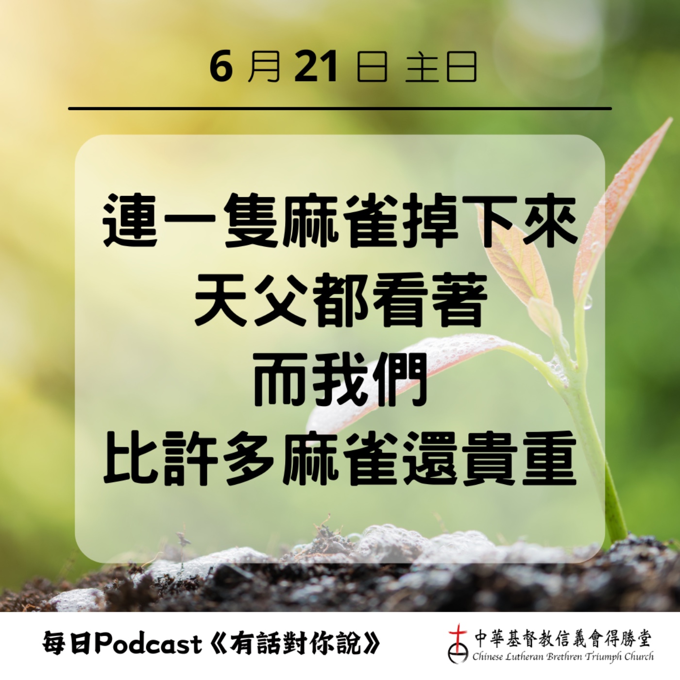 20260621上帝看顧我們到底 episode artwork