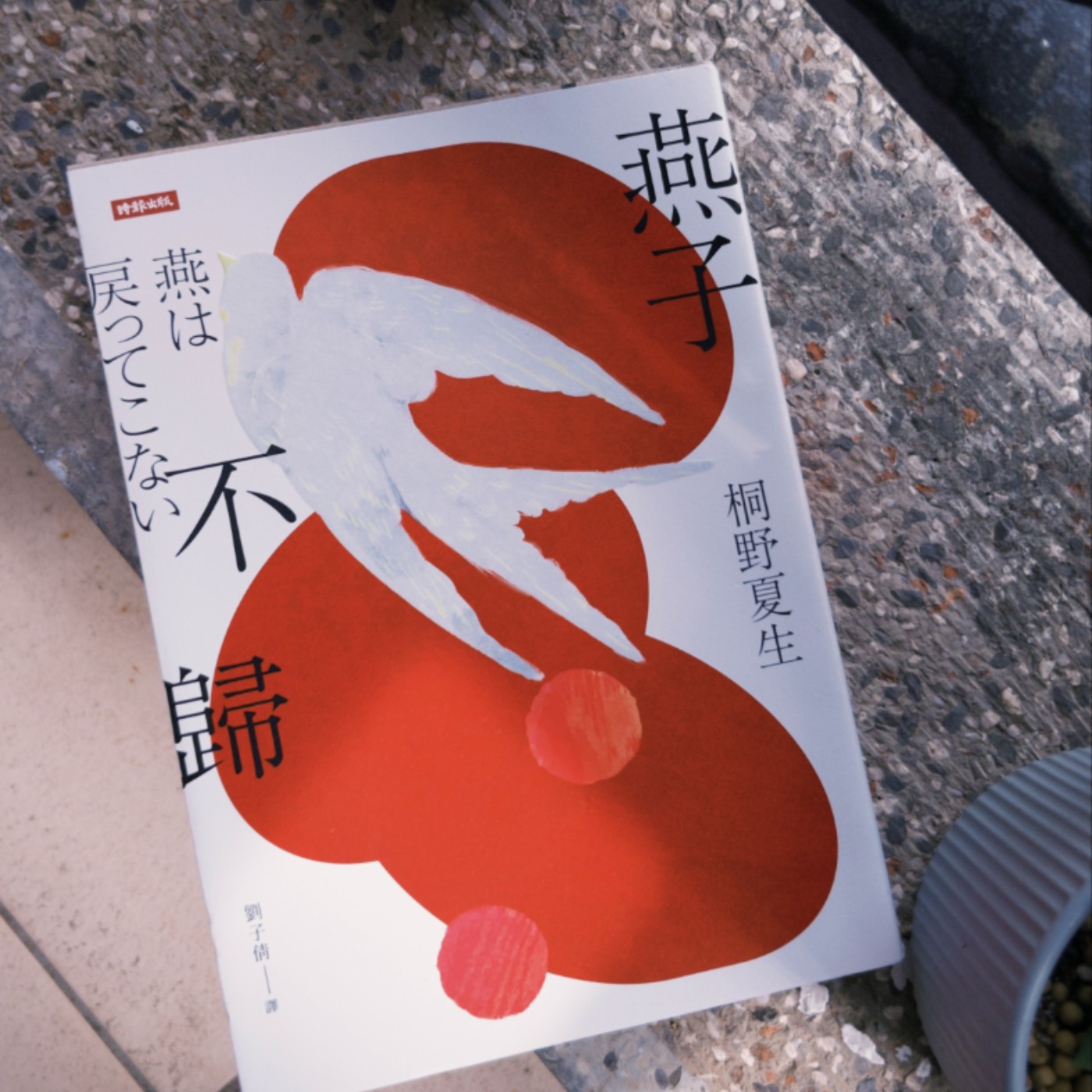 #094｜為了擺脫貧窮，我決定出借我的子宮──《燕子不歸》
