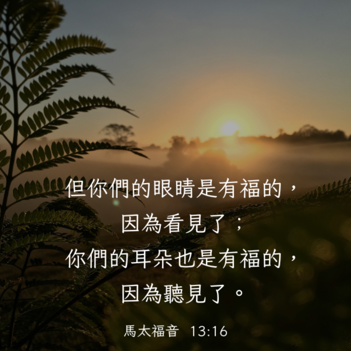 馬太福音 13:10-17 episode artwork