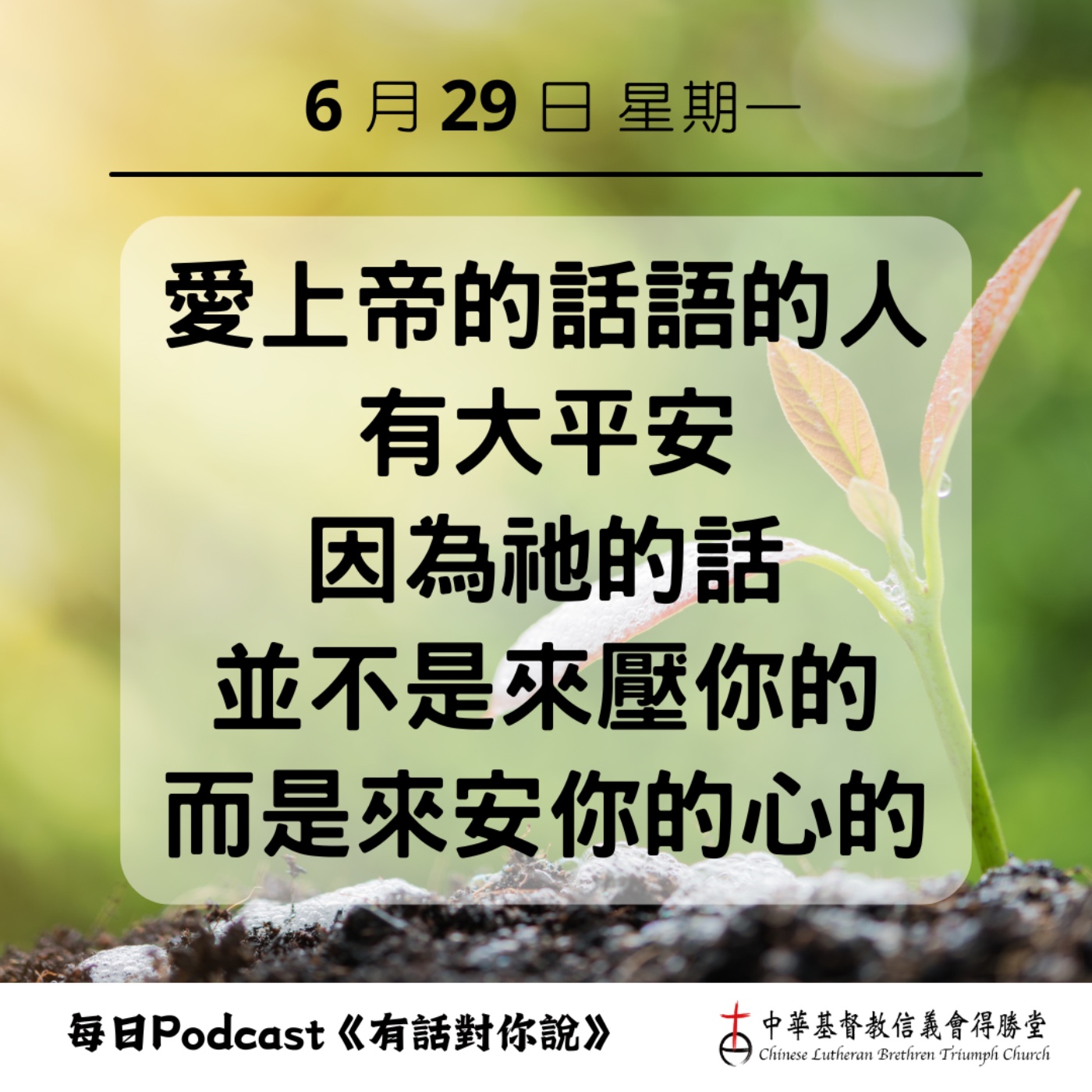 20260629上帝的話語帶來喜樂 episode artwork