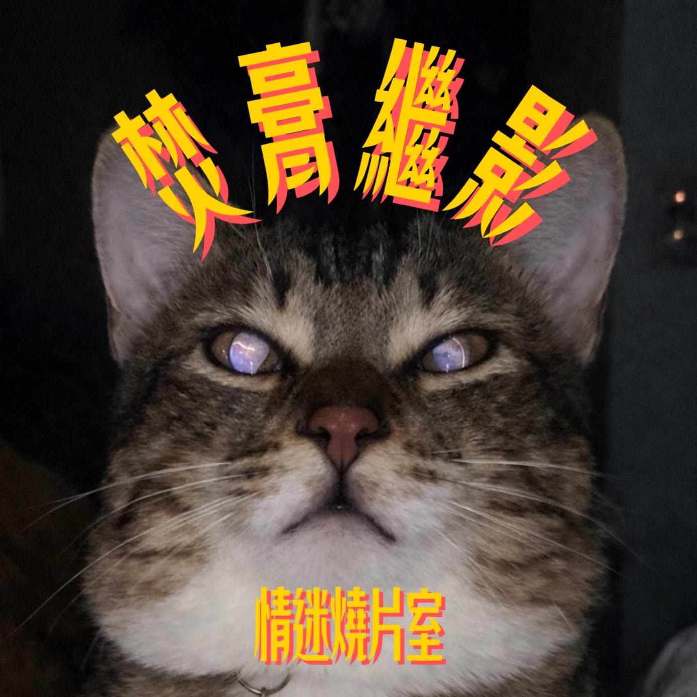 EP01｜暑假好多恐怖片啊～貓喜歡諾蘭嗎？ episode artwork