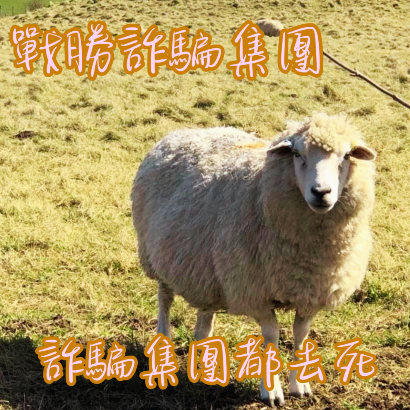 EP25【說】為什麼明明知道是詐騙,還是有人會上當?|戰勝詐騙集團的心法學起來~ episode artwork