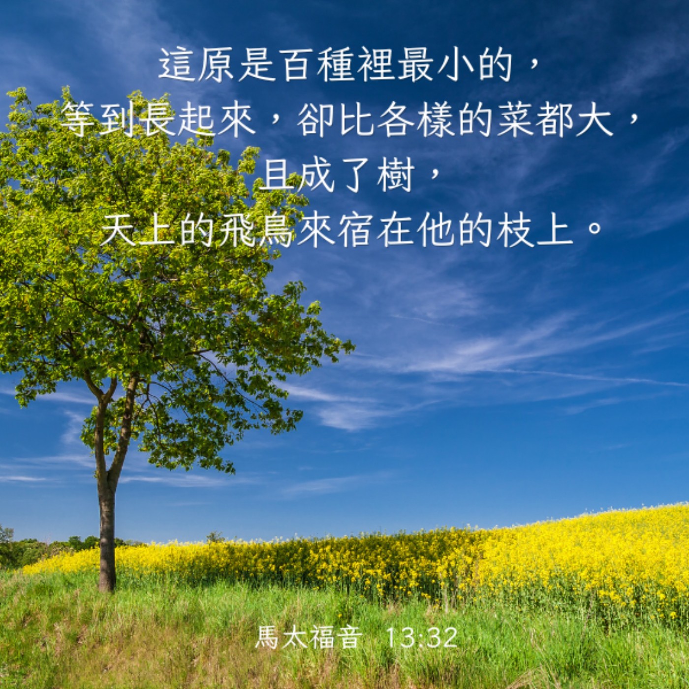 馬太福音 13:31-35 episode artwork