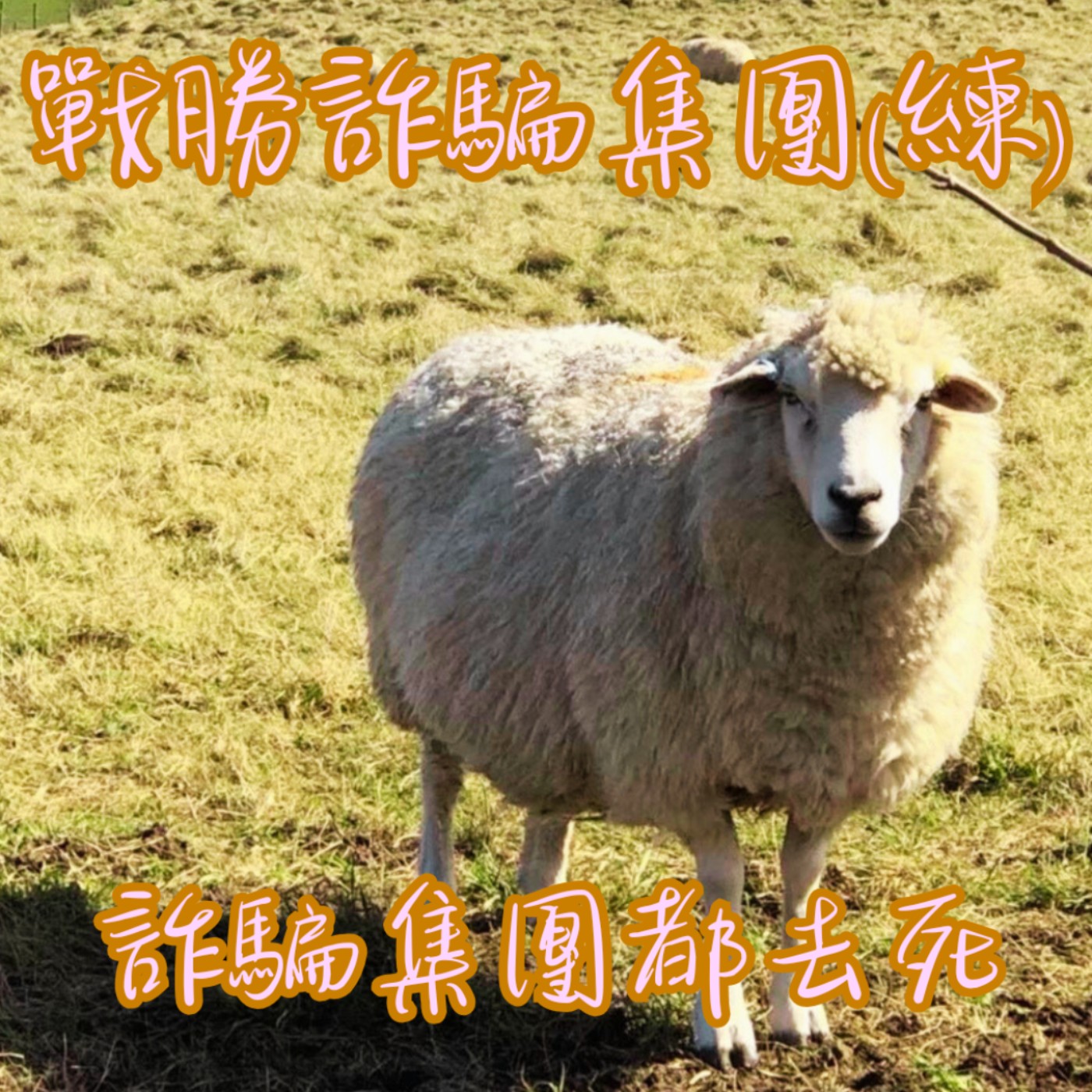 EP26【教你說】為什麼明明知道是詐騙,還是有人會上當?|戰勝詐騙集團的心法學起來~ episode artwork