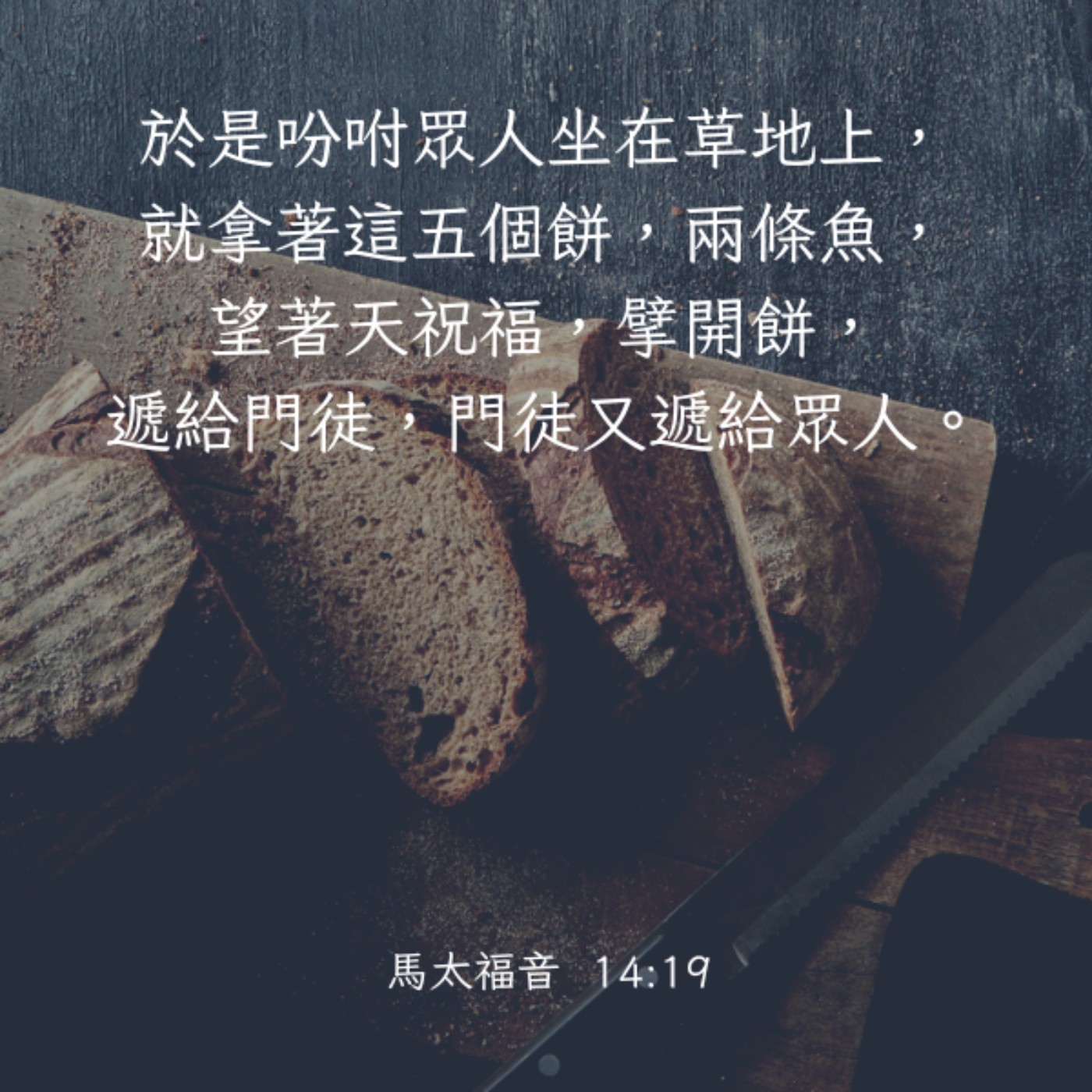 馬太福音 14:13-21 episode artwork