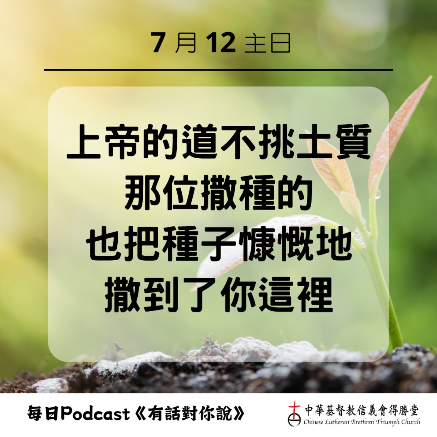 20260712結出果實的種子 episode artwork