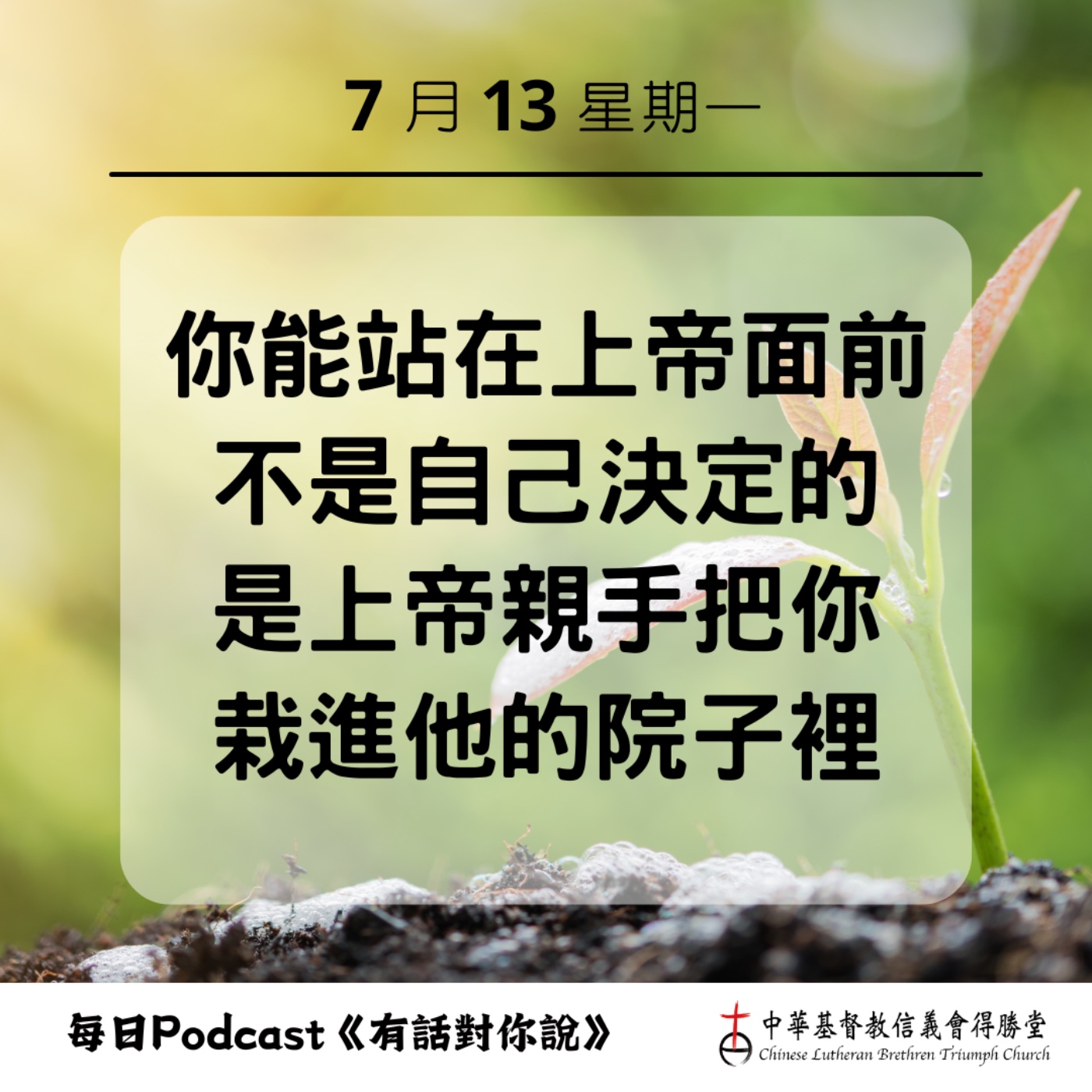 20260713栽在上帝院子裡的樹 episode artwork