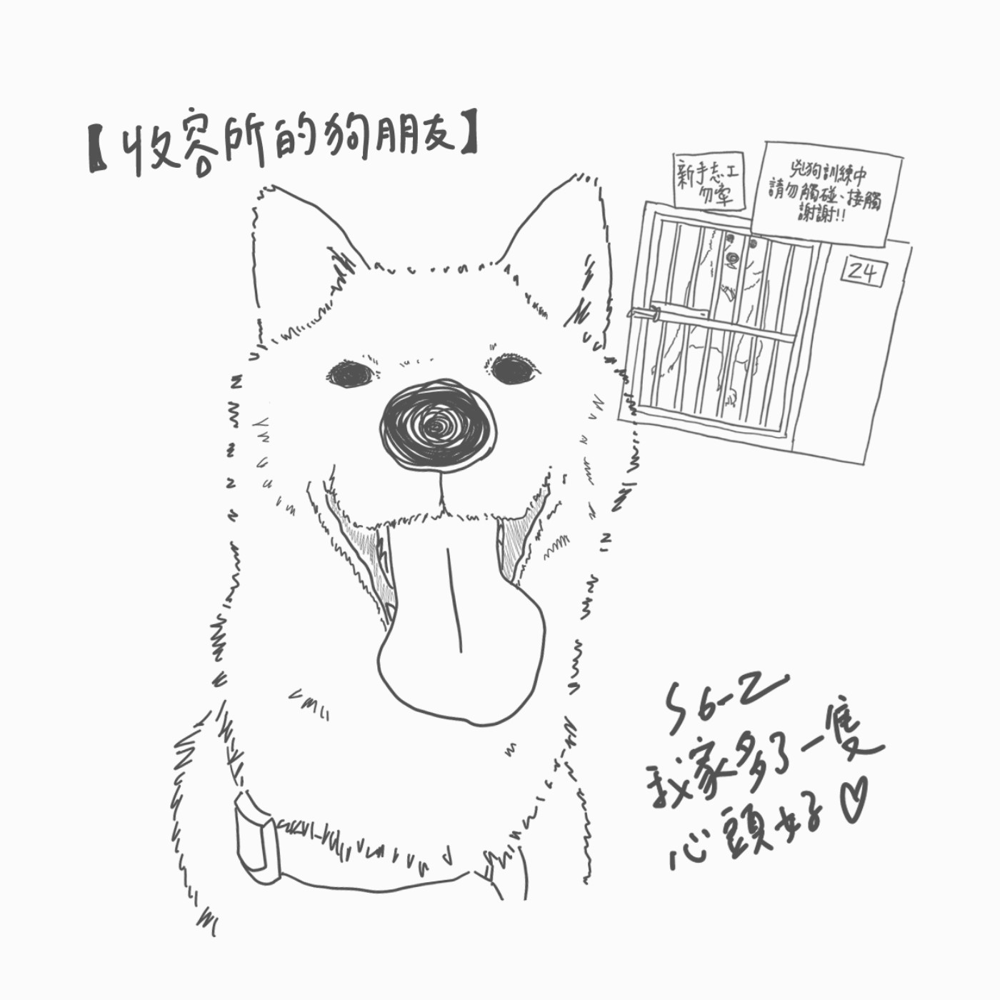 【收容所的狗朋友】S6EP2 我家多了一隻心頭好 episode artwork