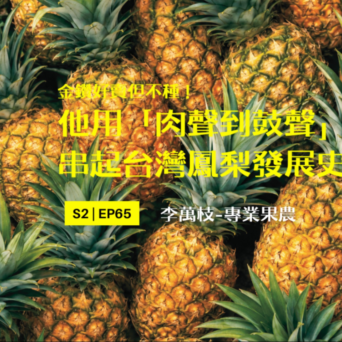EP65 金鑽好賣但不種! 他用「肉聲到鼓聲」 串起台灣鳳梨發展史 episode artwork