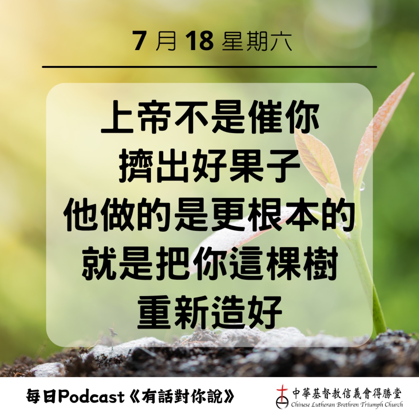 20260718在基督裡長出來的果子 episode artwork