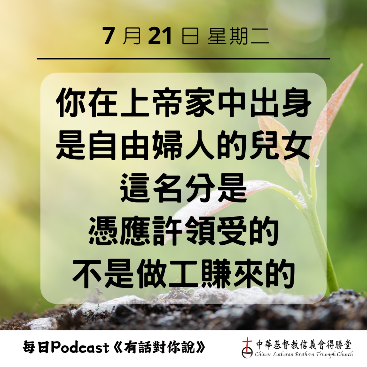 20260721生來就是自由的 episode artwork