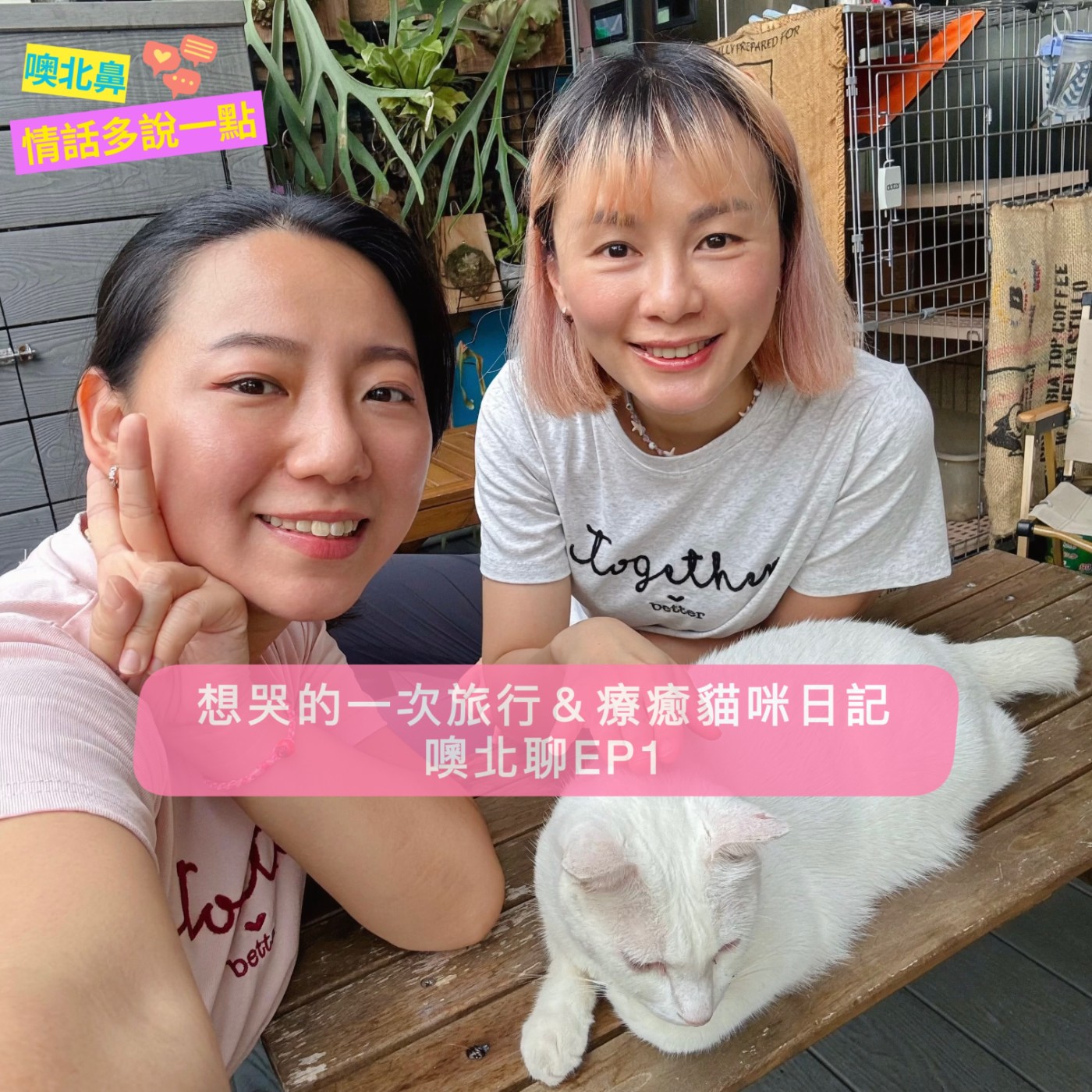 想哭的一次旅行＆療癒貓咪日記｜噢北聊EP1 旅行 生活 毛孩