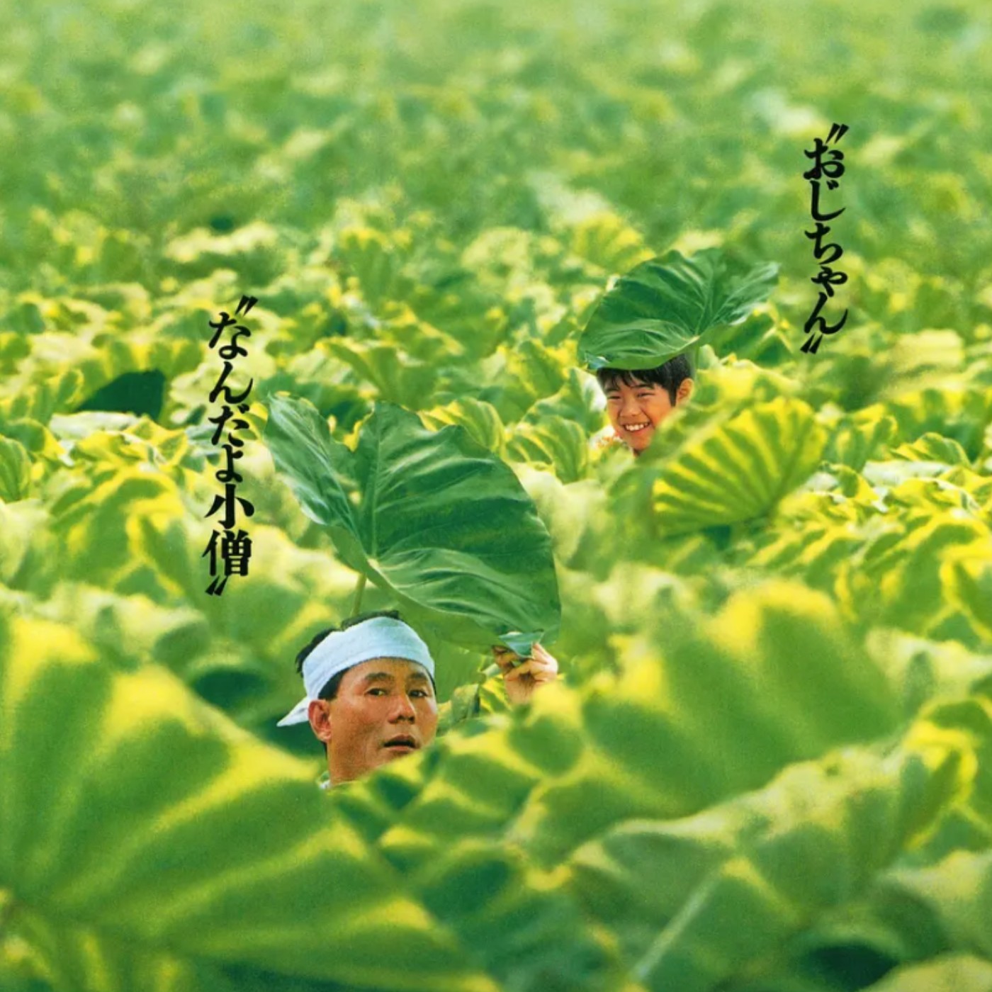 HelloMonday - 20260727 ▷ 那個夏天都是認真10分鐘睡覺1小時
