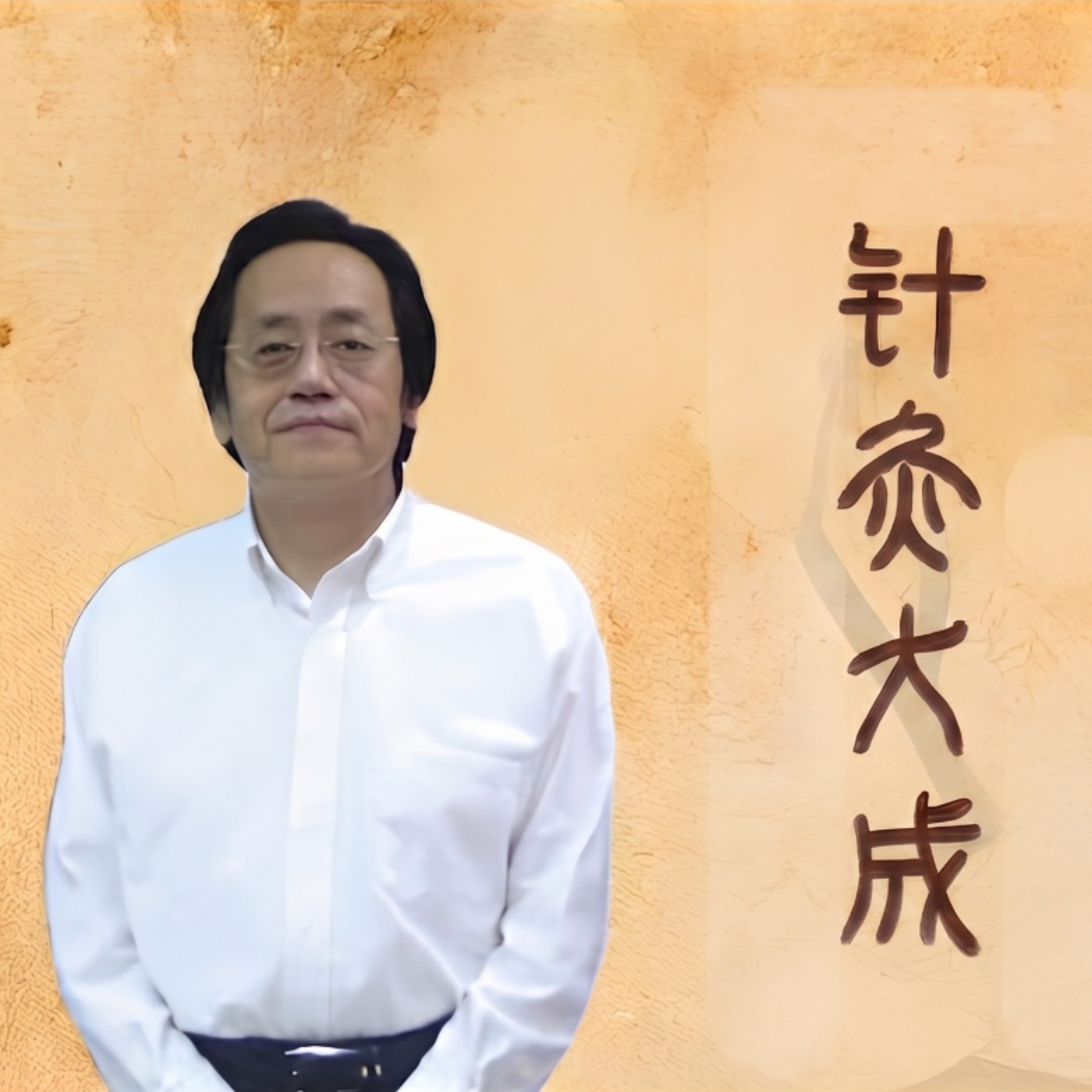 倪海廈 針灸大成