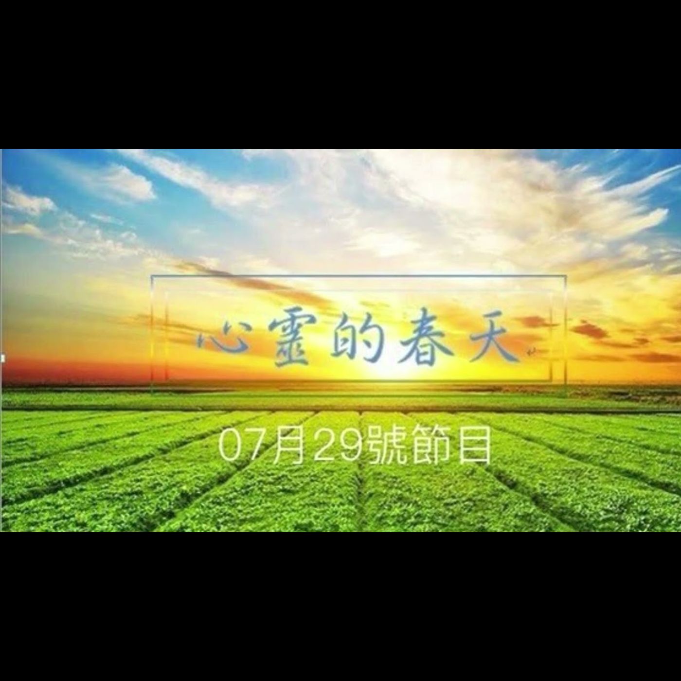 心靈的春天1150729 台北醫院肝膽腸胃科王志賢醫師(為什麼胃食道逆流好不了)-華林診所家醫科葉睿儒醫師(疼痛之磁波篇)-醫療(認識甜菜根) episode artwork