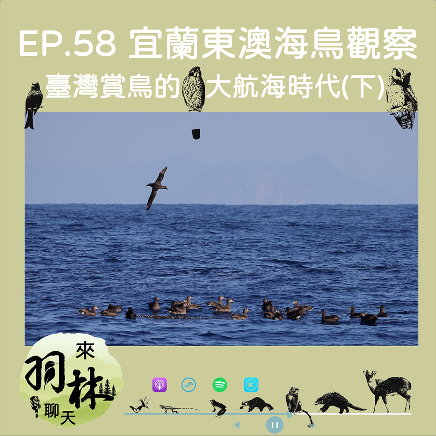 EP58|林哲安╳來羽林聊天:出越多次才越懂自己以前有多幸運?台灣海鳥大航海時代(下) episode artwork