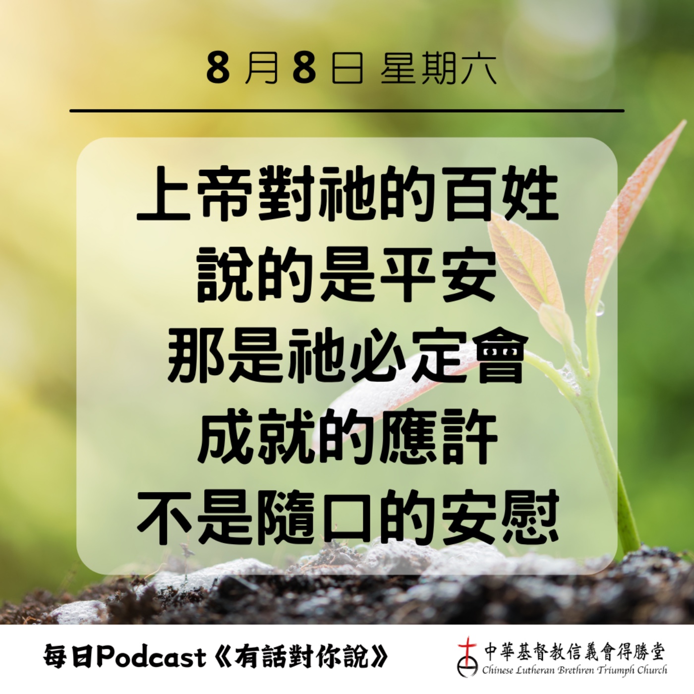 20260808上帝應許的平安 episode artwork