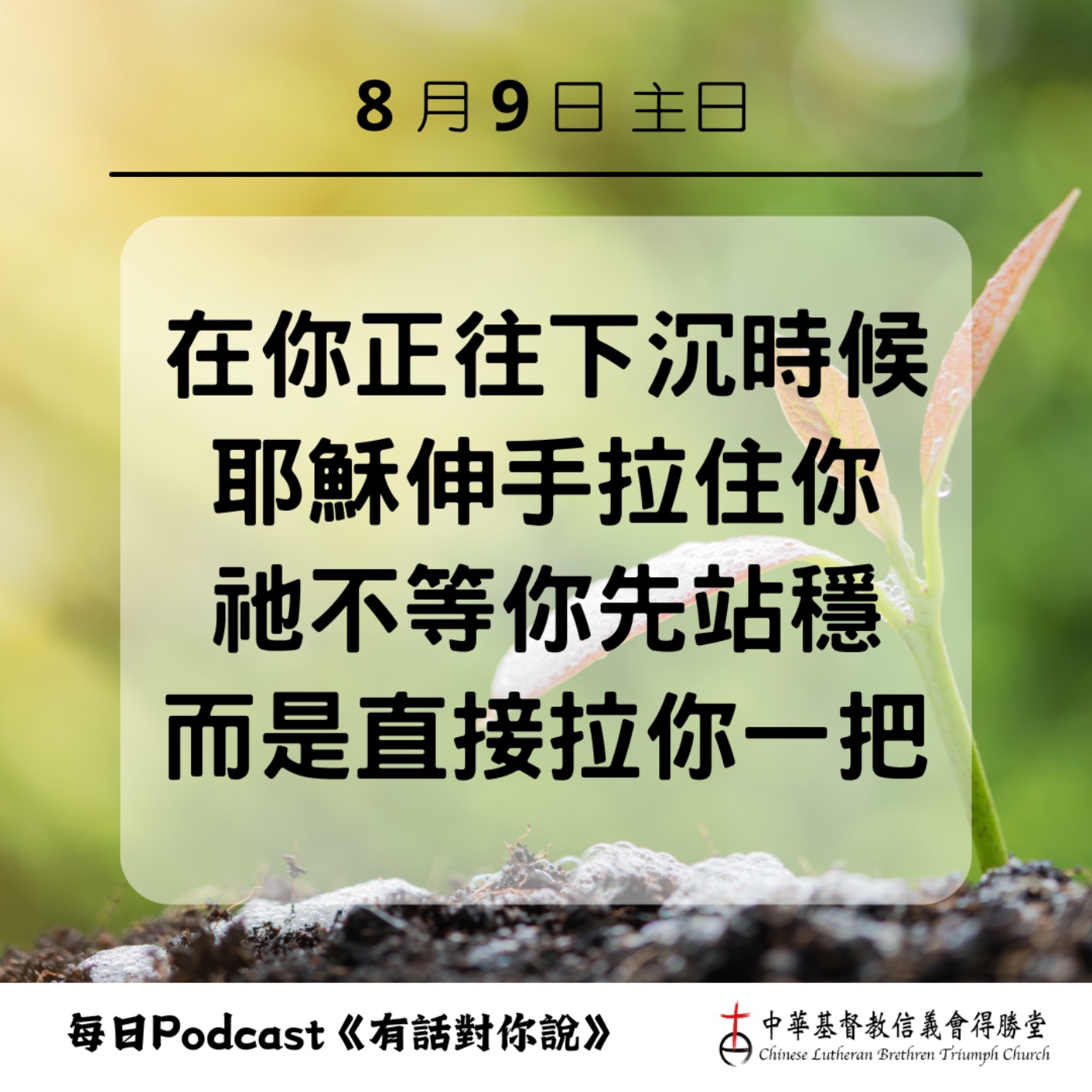20260809拉住你的恩典之手 episode artwork