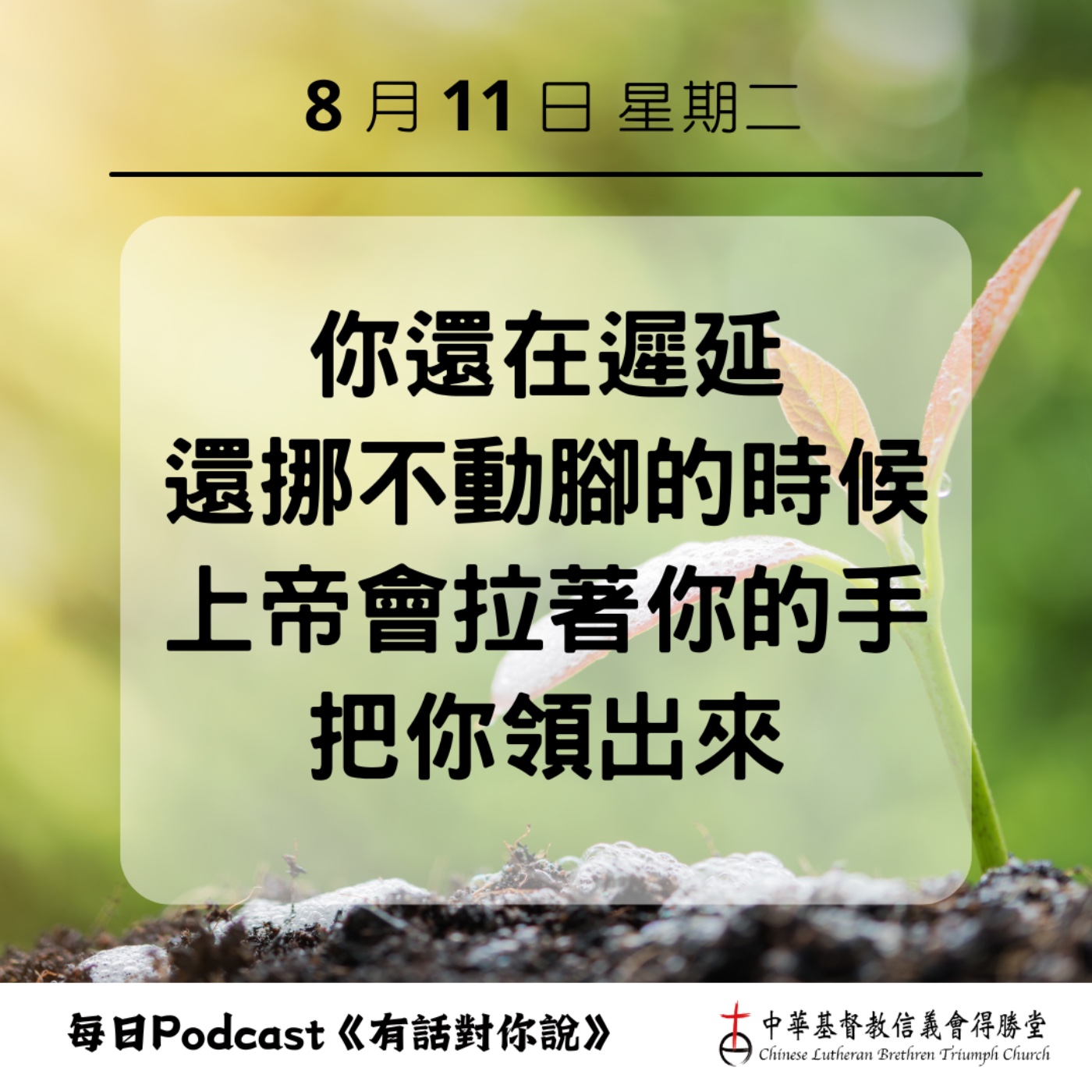 20260811上帝挪動我們的腳 episode artwork