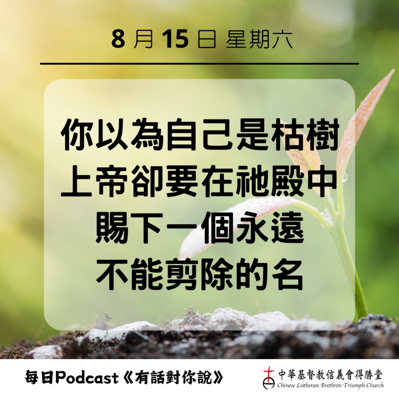 20260815不能剪除的名字 episode artwork