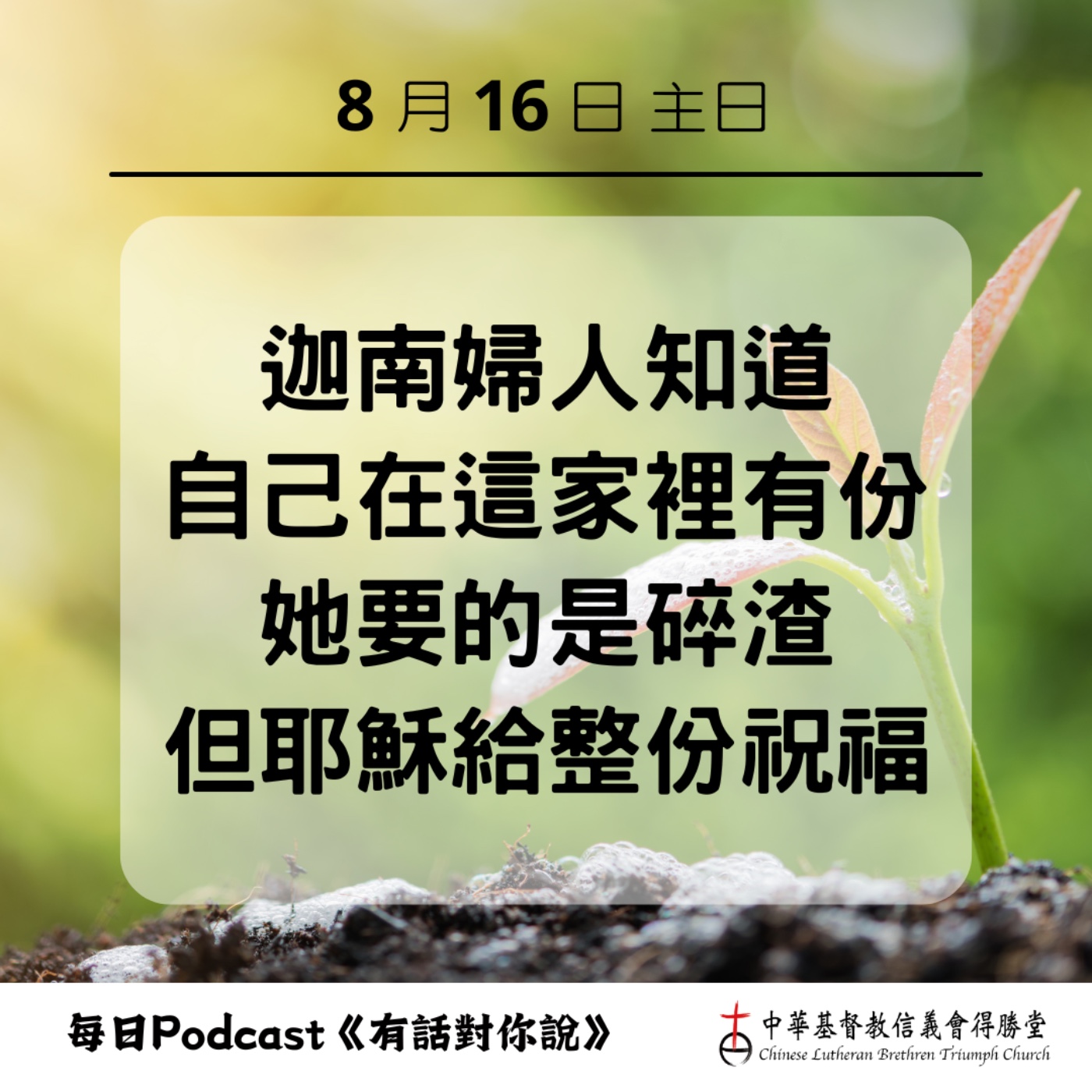 20260816這個家有你的位置 episode artwork