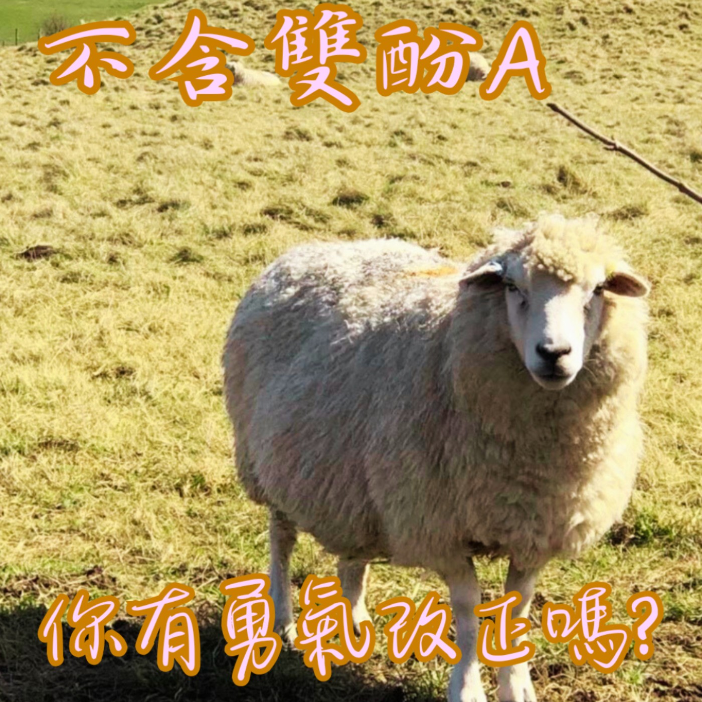 EP35【說】不含雙酚A|當我們發現問題後,有沒有勇氣重新學習? episode artwork