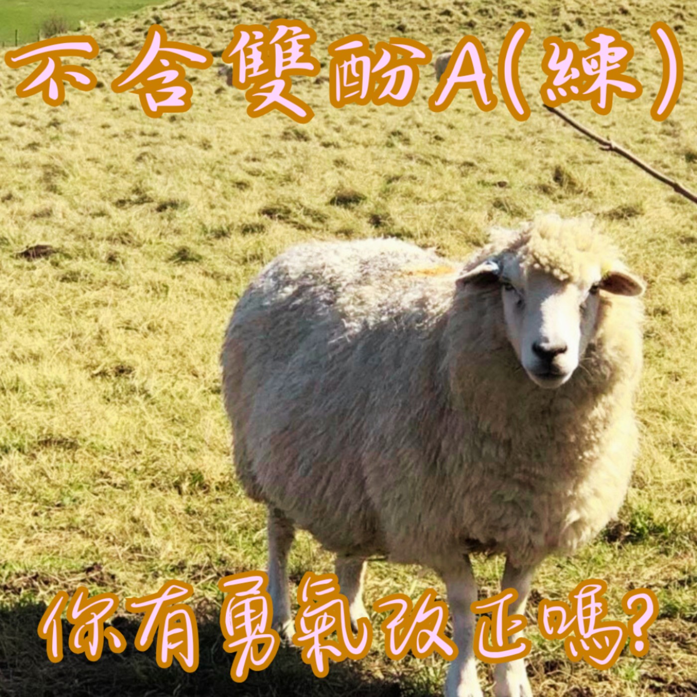 EP36【教你說】不含雙酚A|當我們發現問題後,有沒有勇氣重新學習? episode artwork
