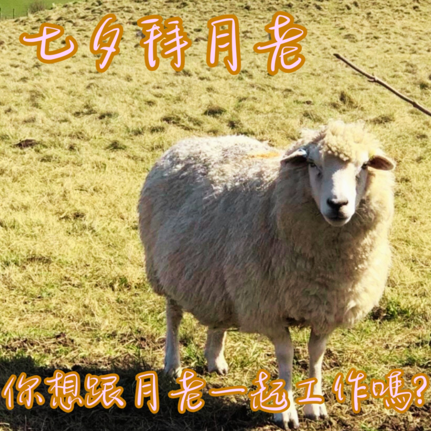 EP37【說】七夕拜月老|如果月老是一份真實存在的職業,你願意應徵嗎? episode artwork
