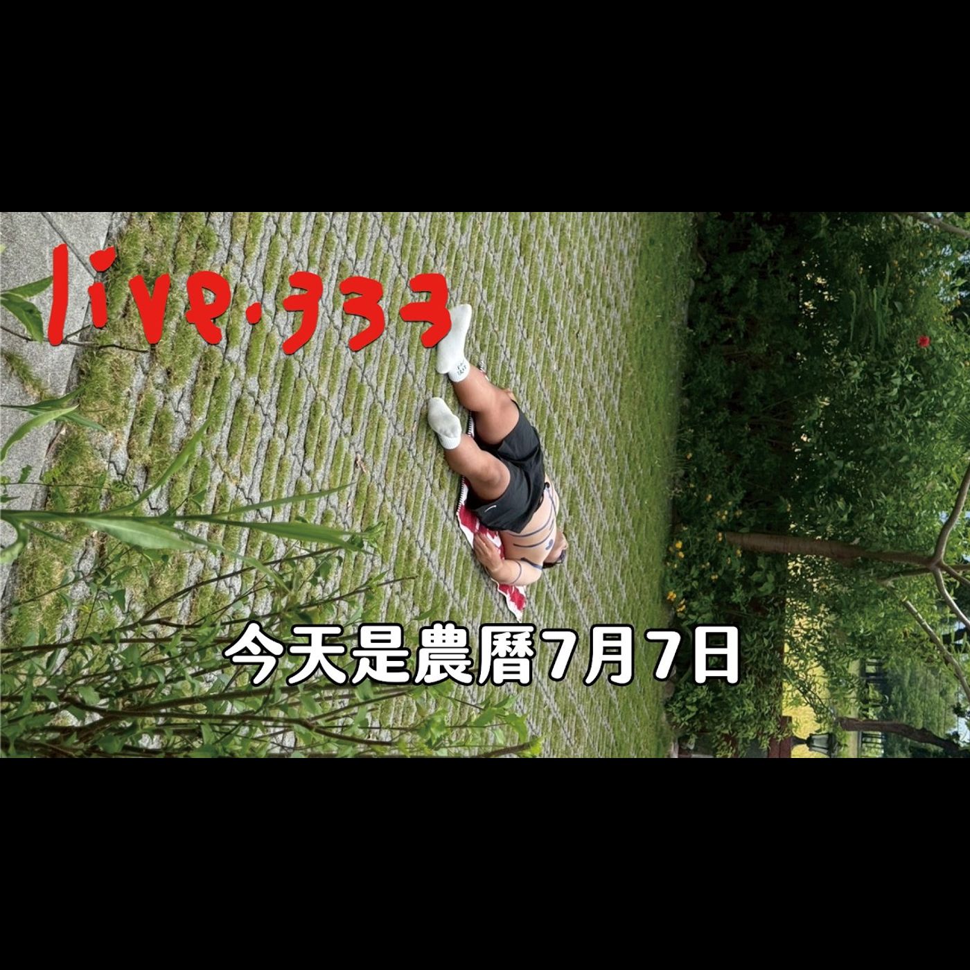 〔蔡哥直播〕#333 今天是農曆7月7日 episode artwork