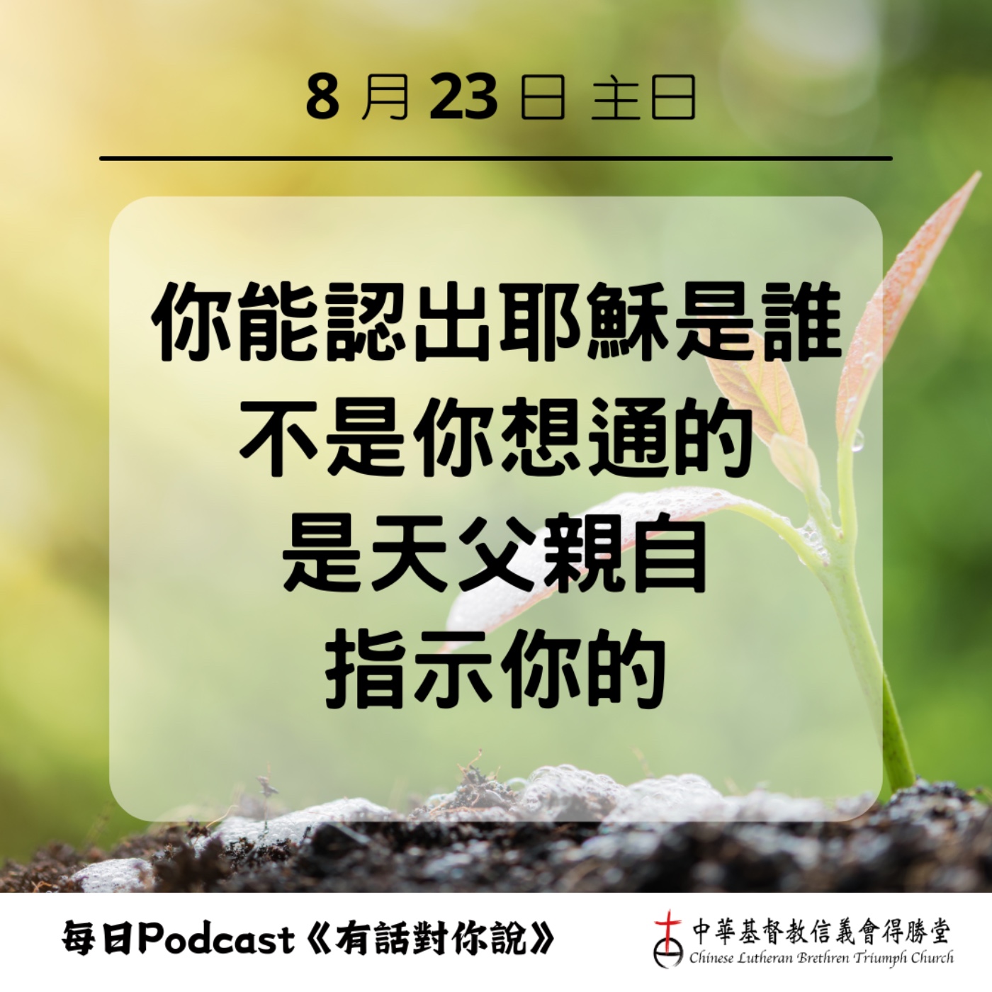 20260823認出耶穌是基督 episode artwork
