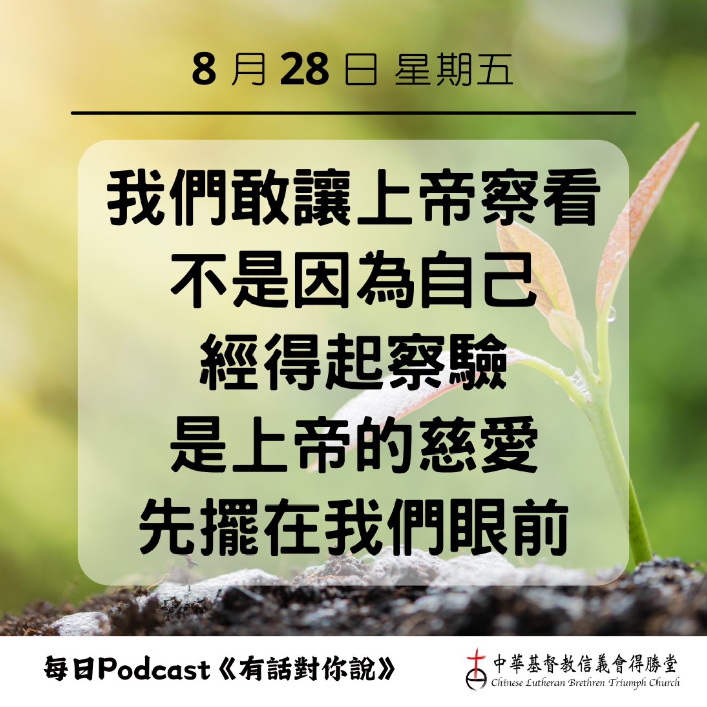 20260828上帝的察驗 episode artwork