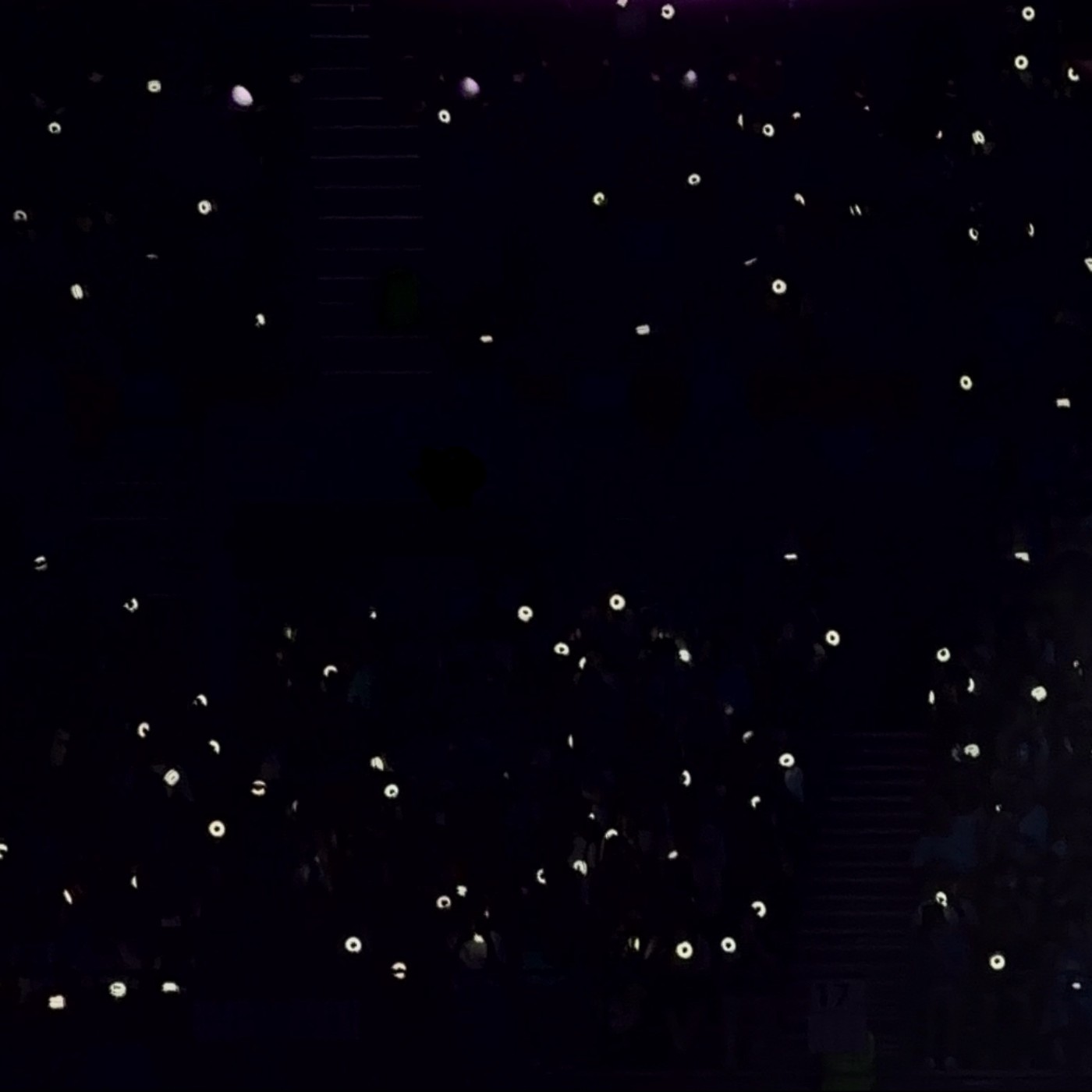 Wilson股海追星記