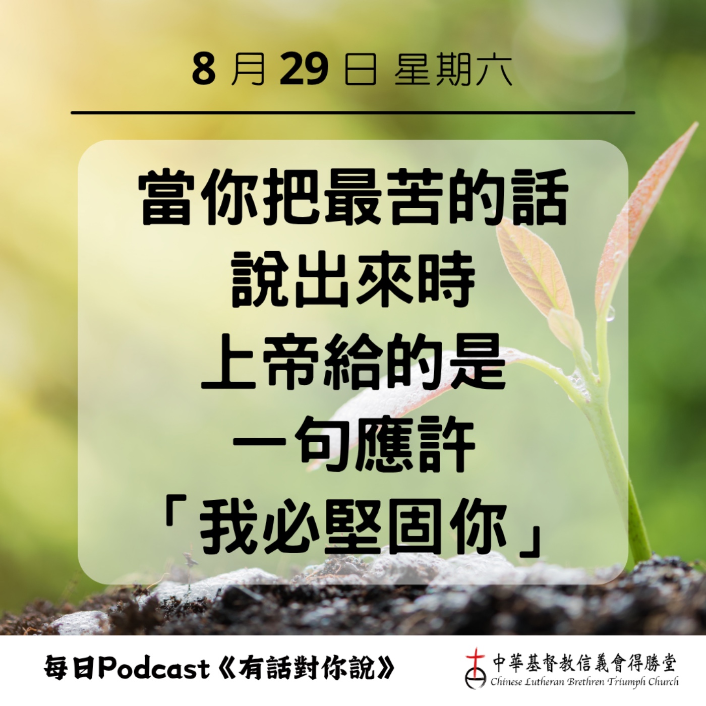 20260829上帝要堅固你 episode artwork